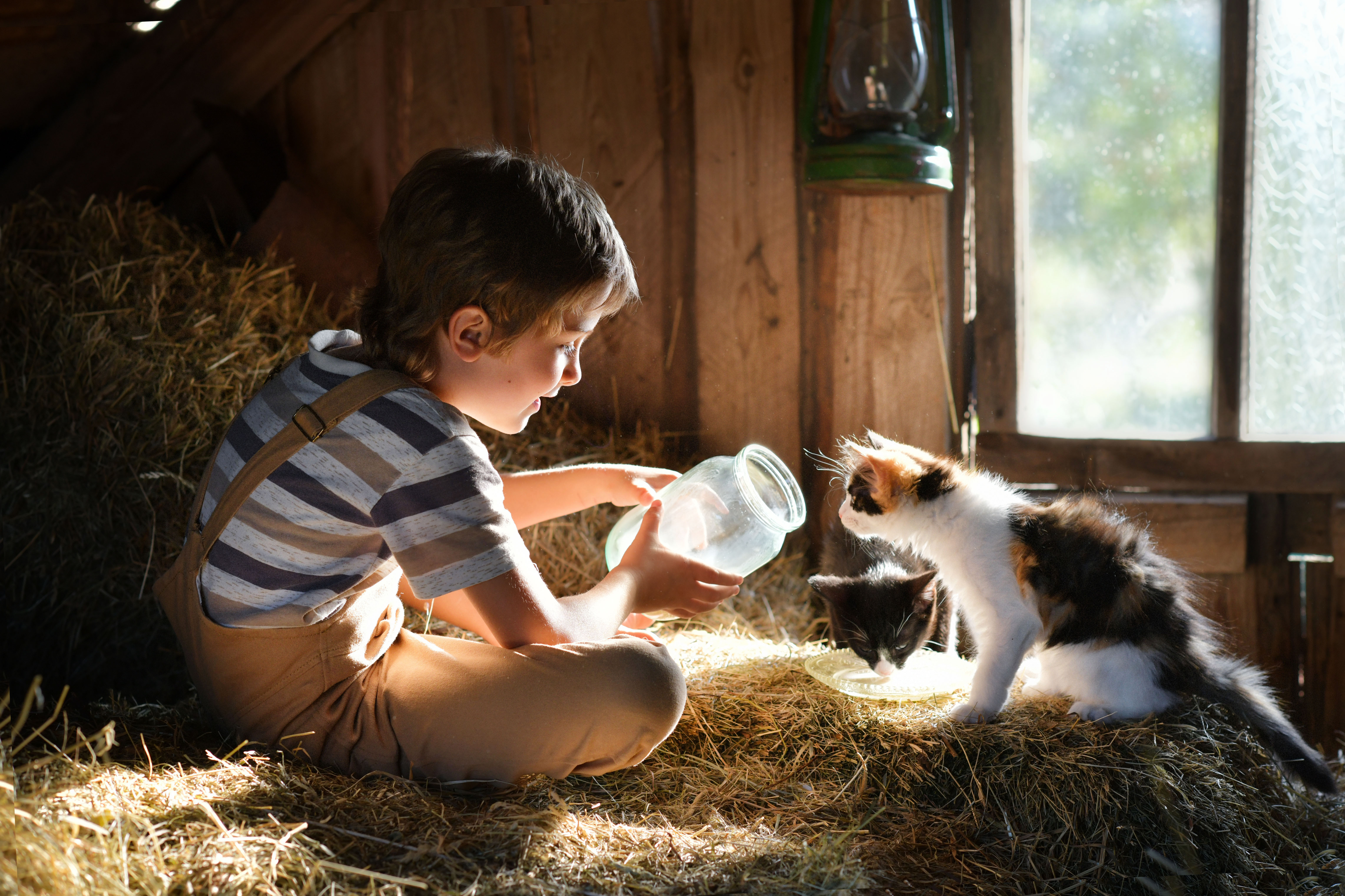 дети, лето,деревня,котята,каникулы, Ирина Ефимова