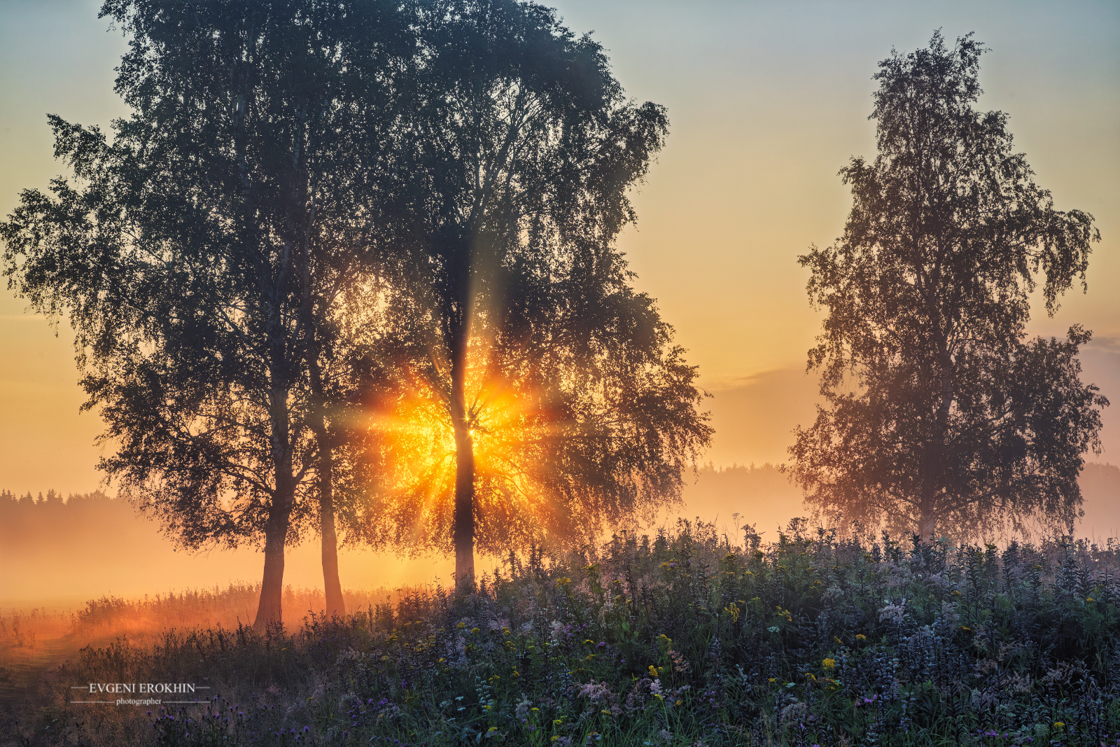 , Евгений Ерохин