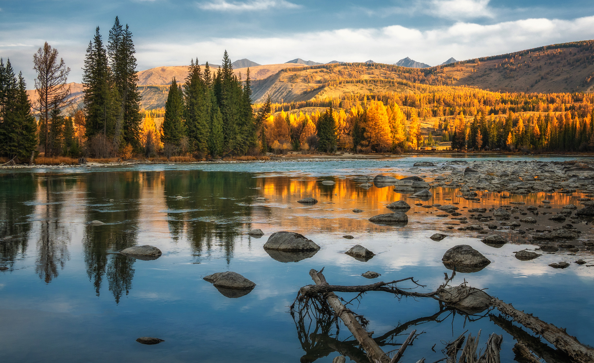 горный алтай,осень, река аргут, утро, коряги,отражения, Lora Pavlova