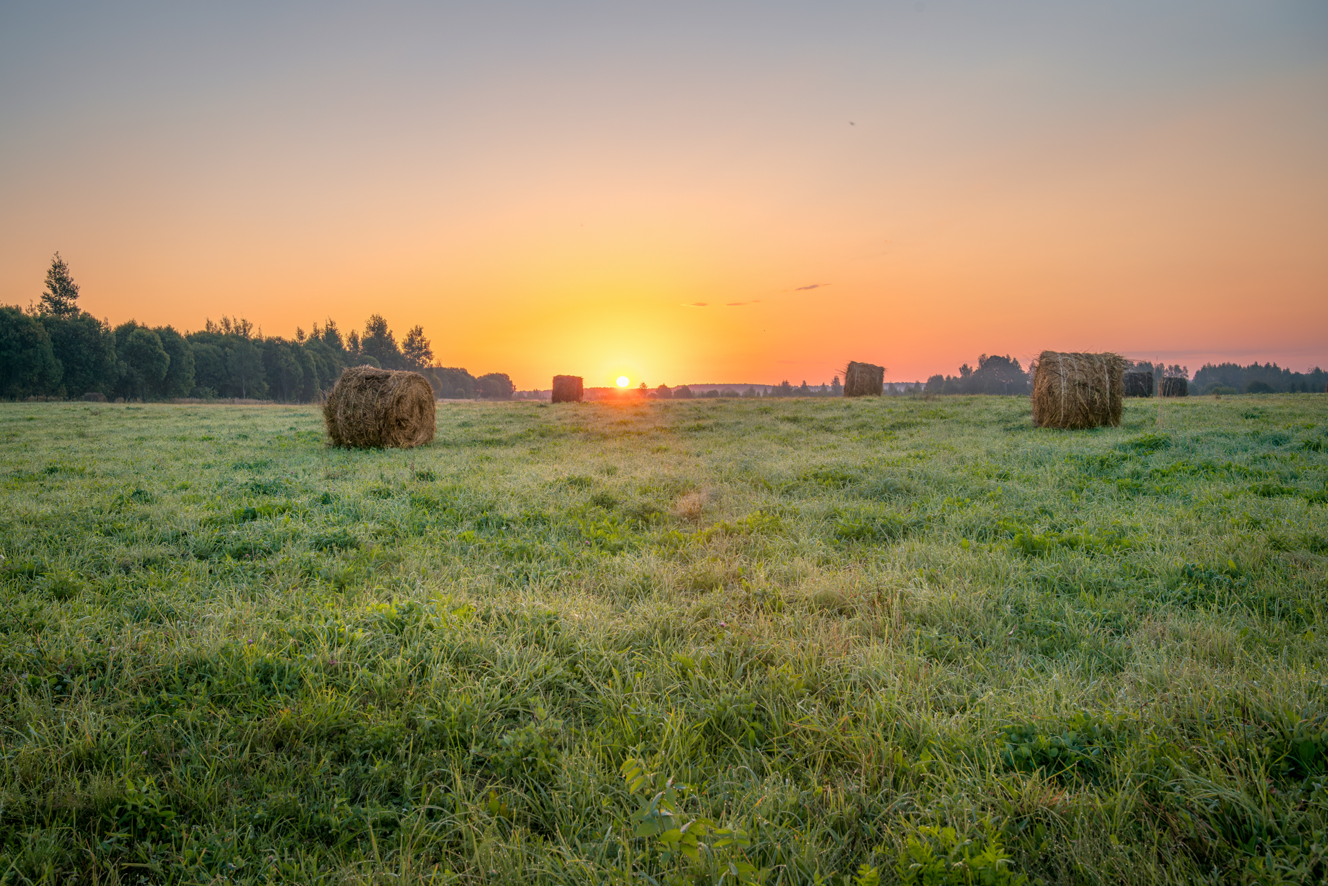 , Сережин Сережа