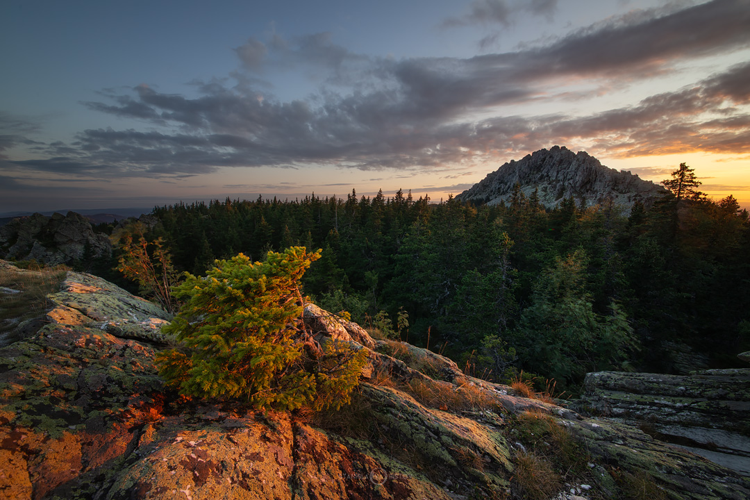 , Станислав Аристов