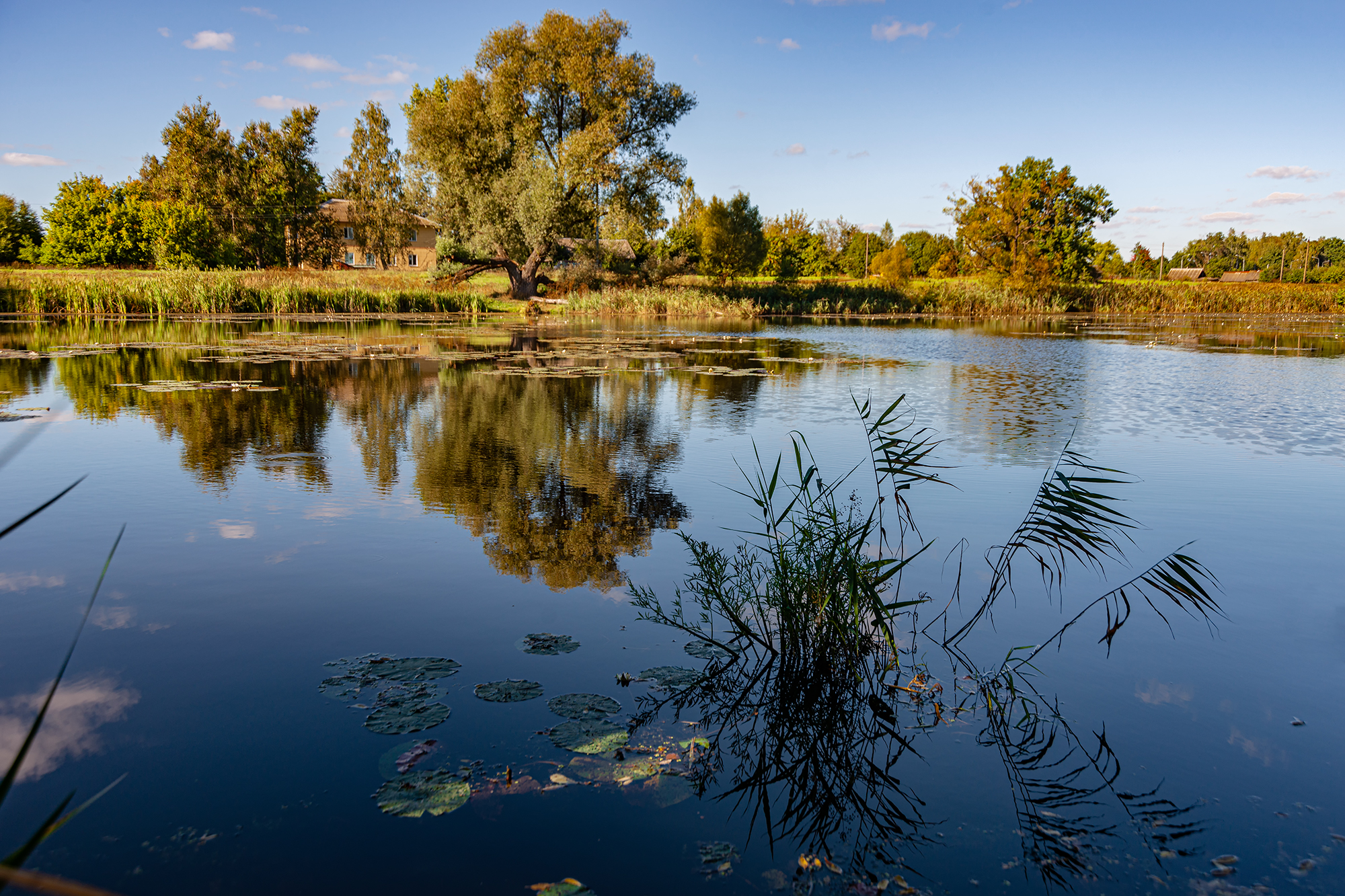 , Владимир Ноздрачев