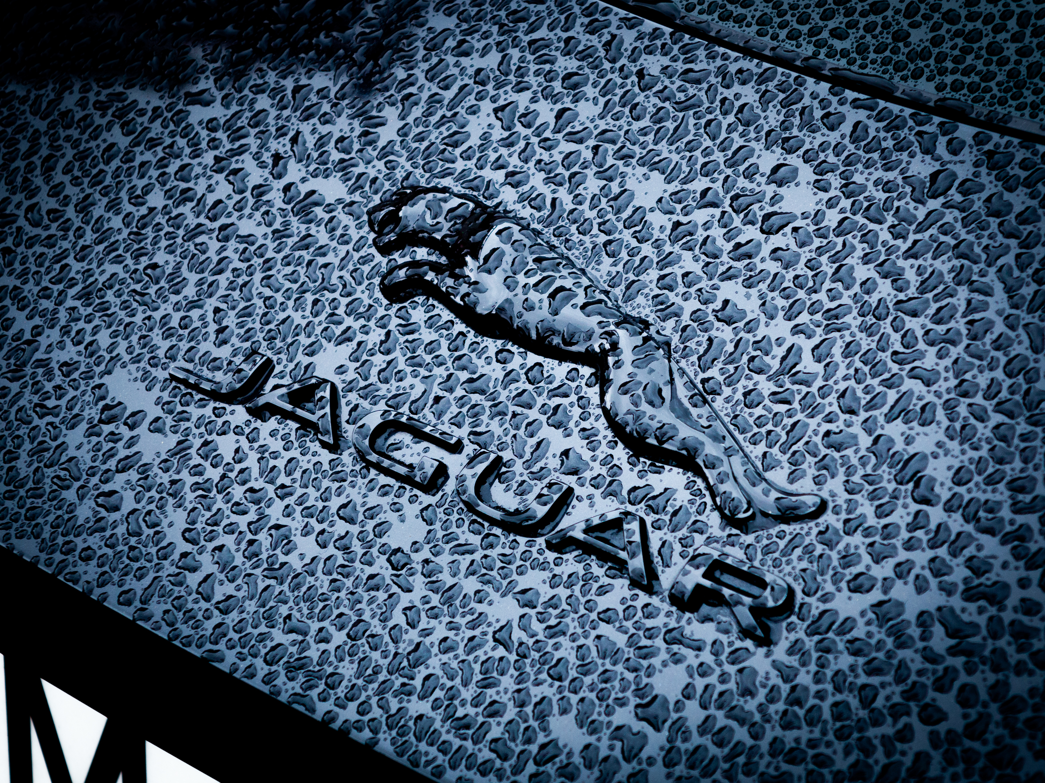 , Подрезов Алексей