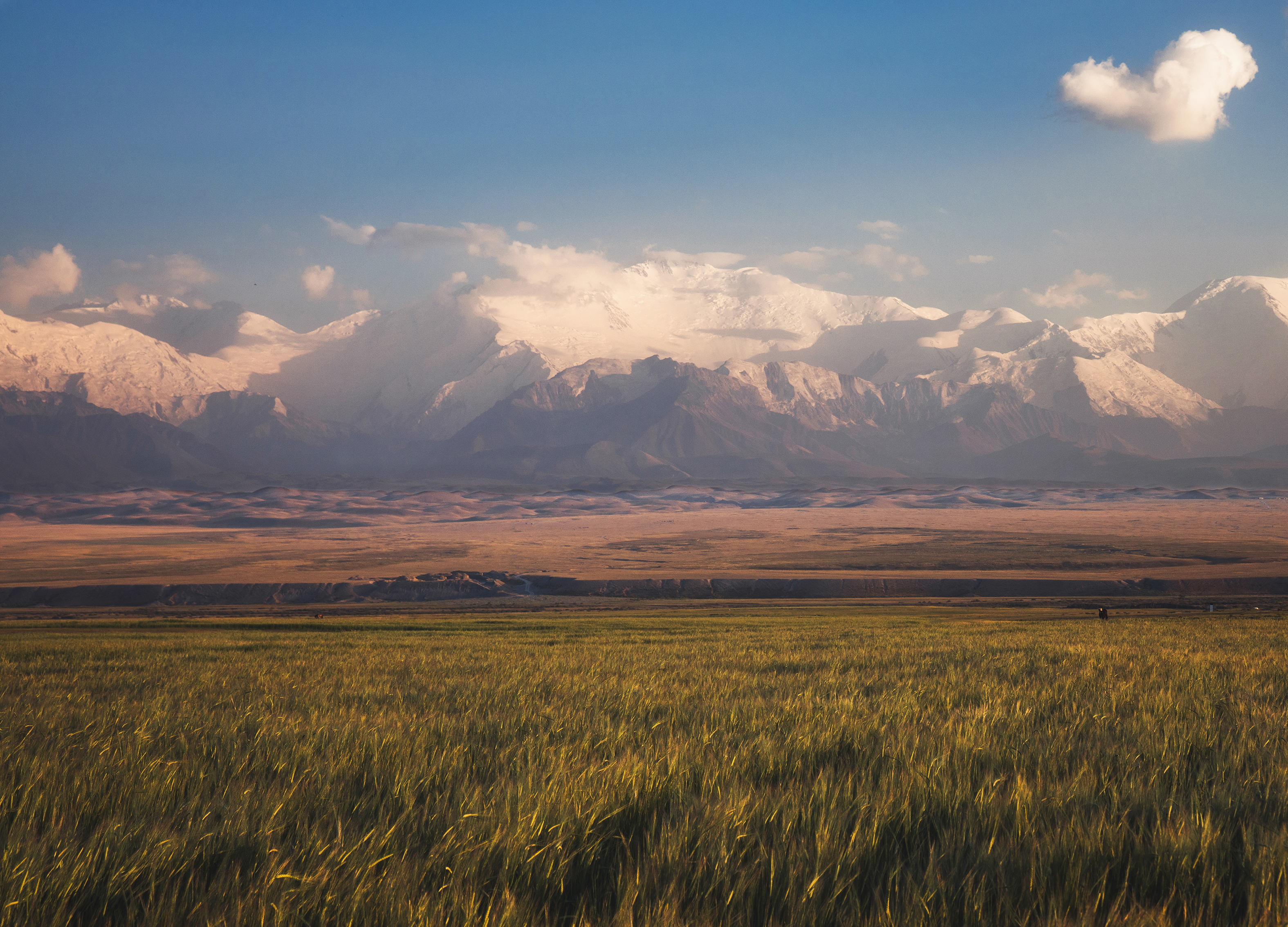 , Грамаков Юрий