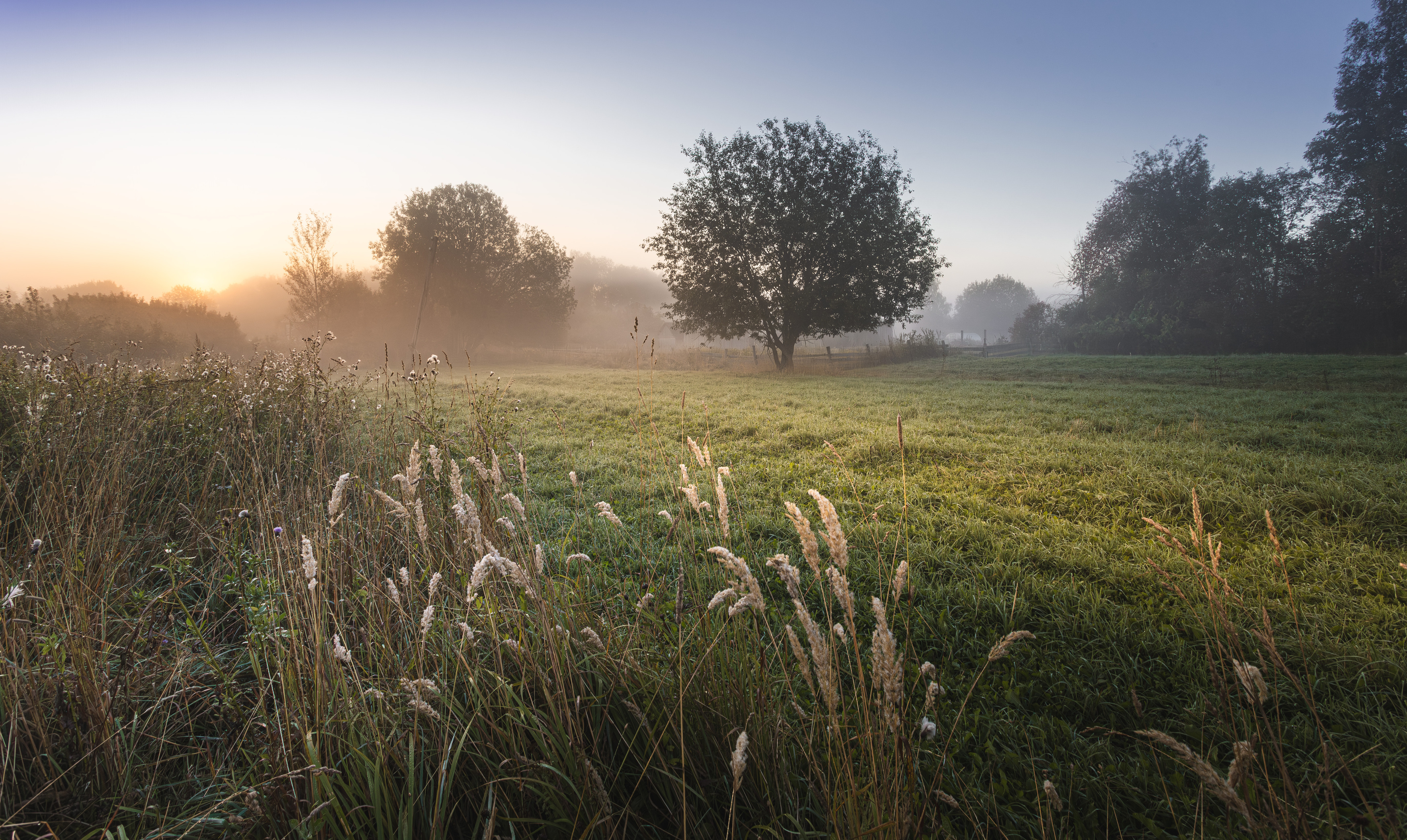 утро, торбеево, Зеленько Дмитрий