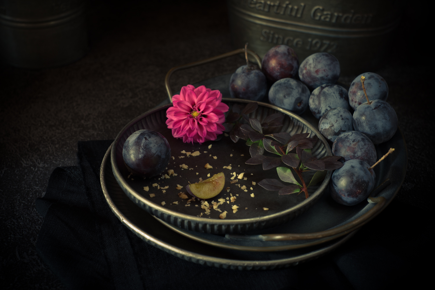 лето, слива, георгин, барбарис, натюрморт, Александр Азаренков