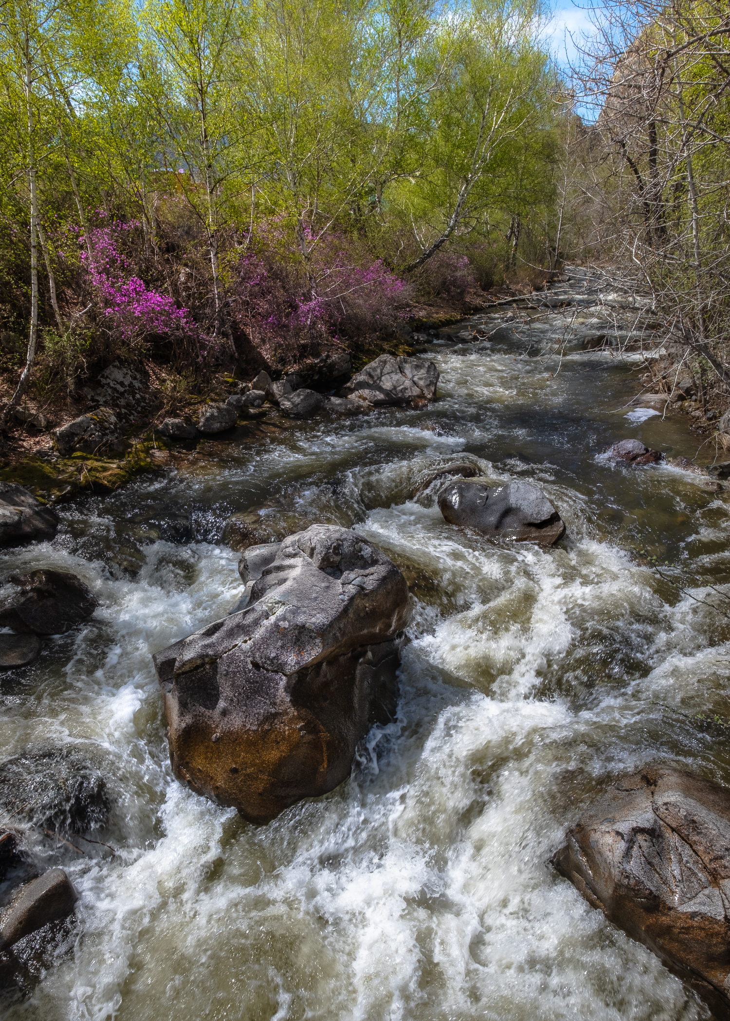 , Коротеев Вадим
