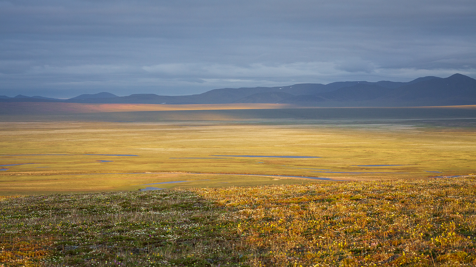 чукотка, лето, пейзаж, природа, сопки, север,, Сергей Шульга