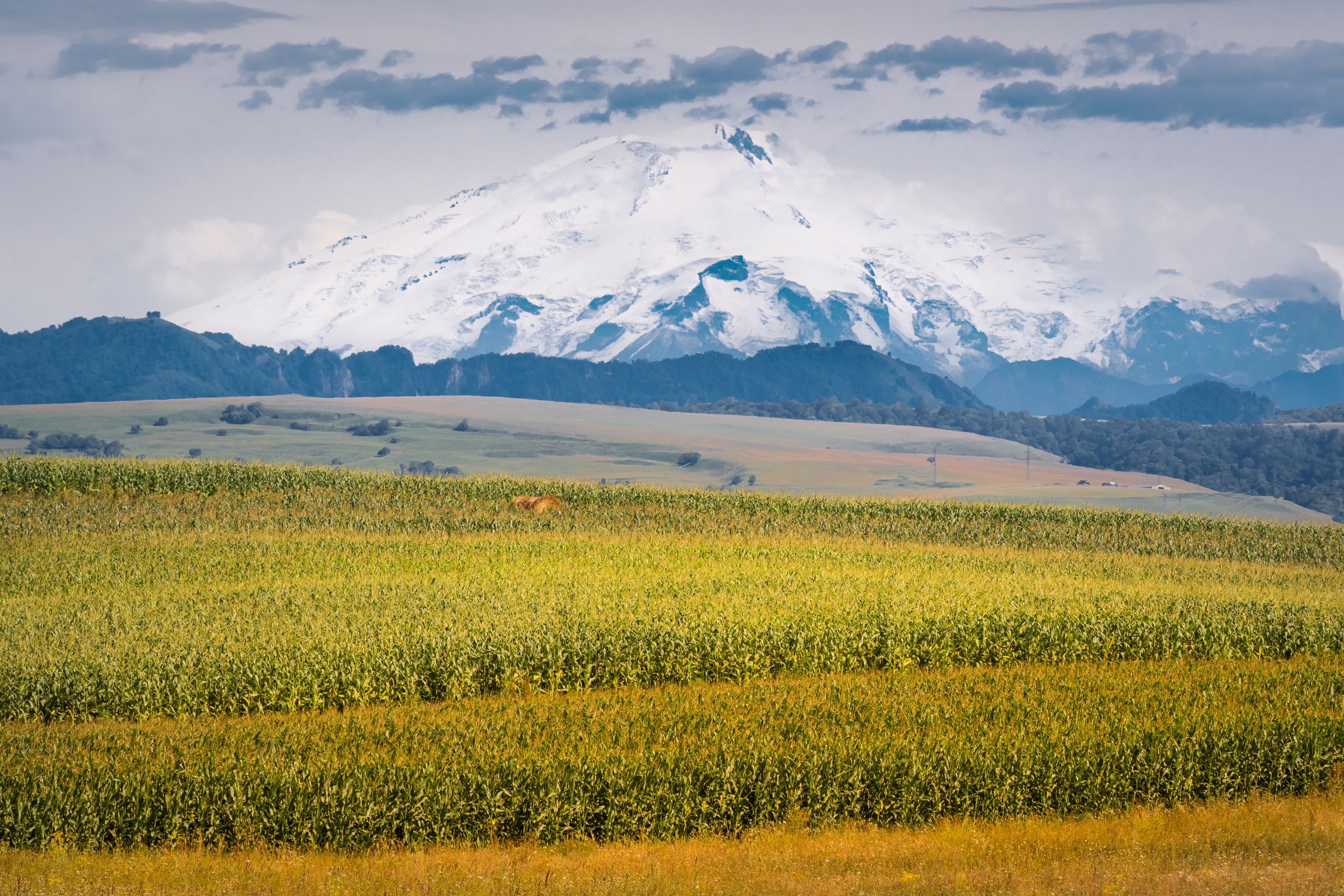 эльбрус, военно-сухумская дорога, кавказ, Сергей Студнев
