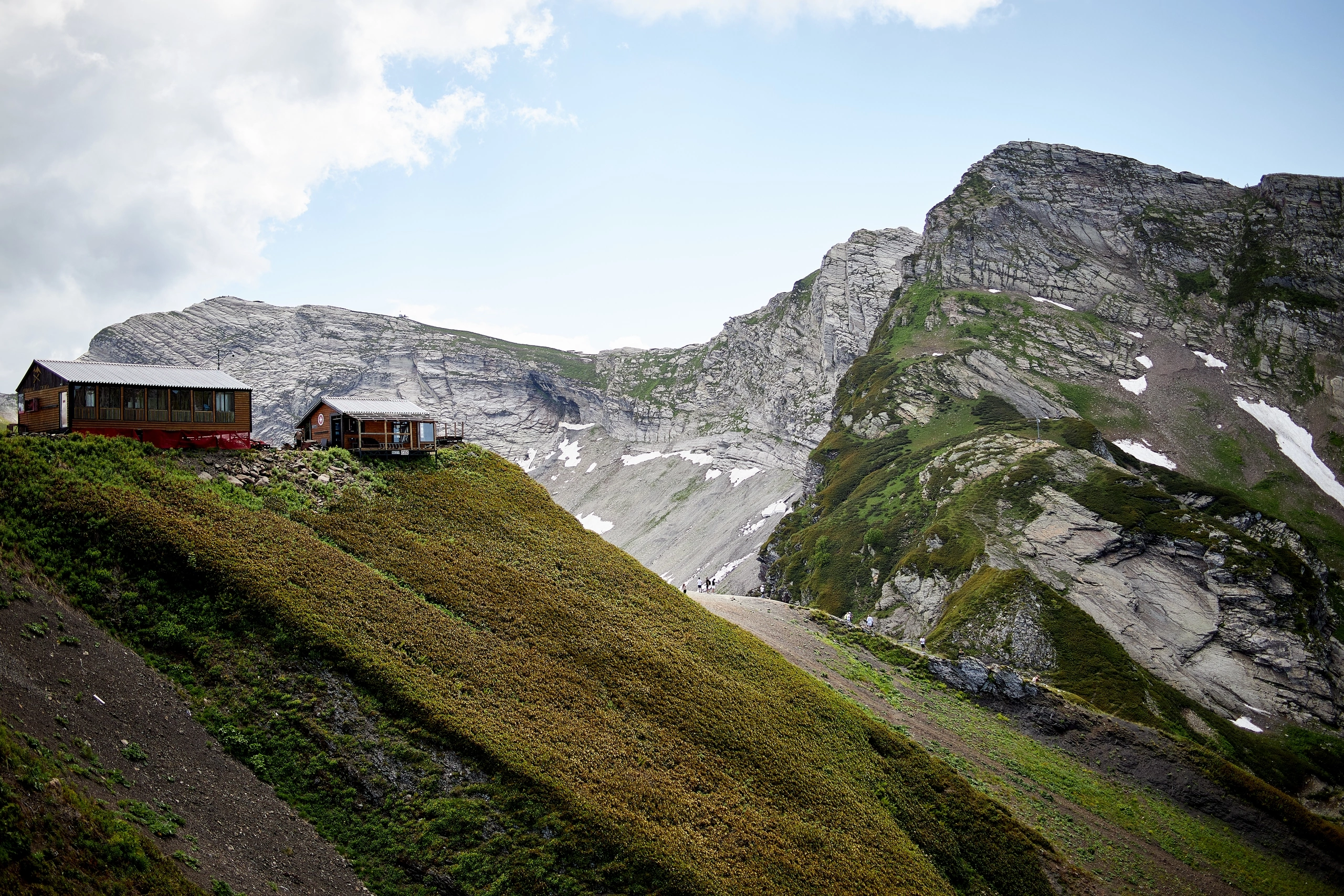 , Франгони Владимир