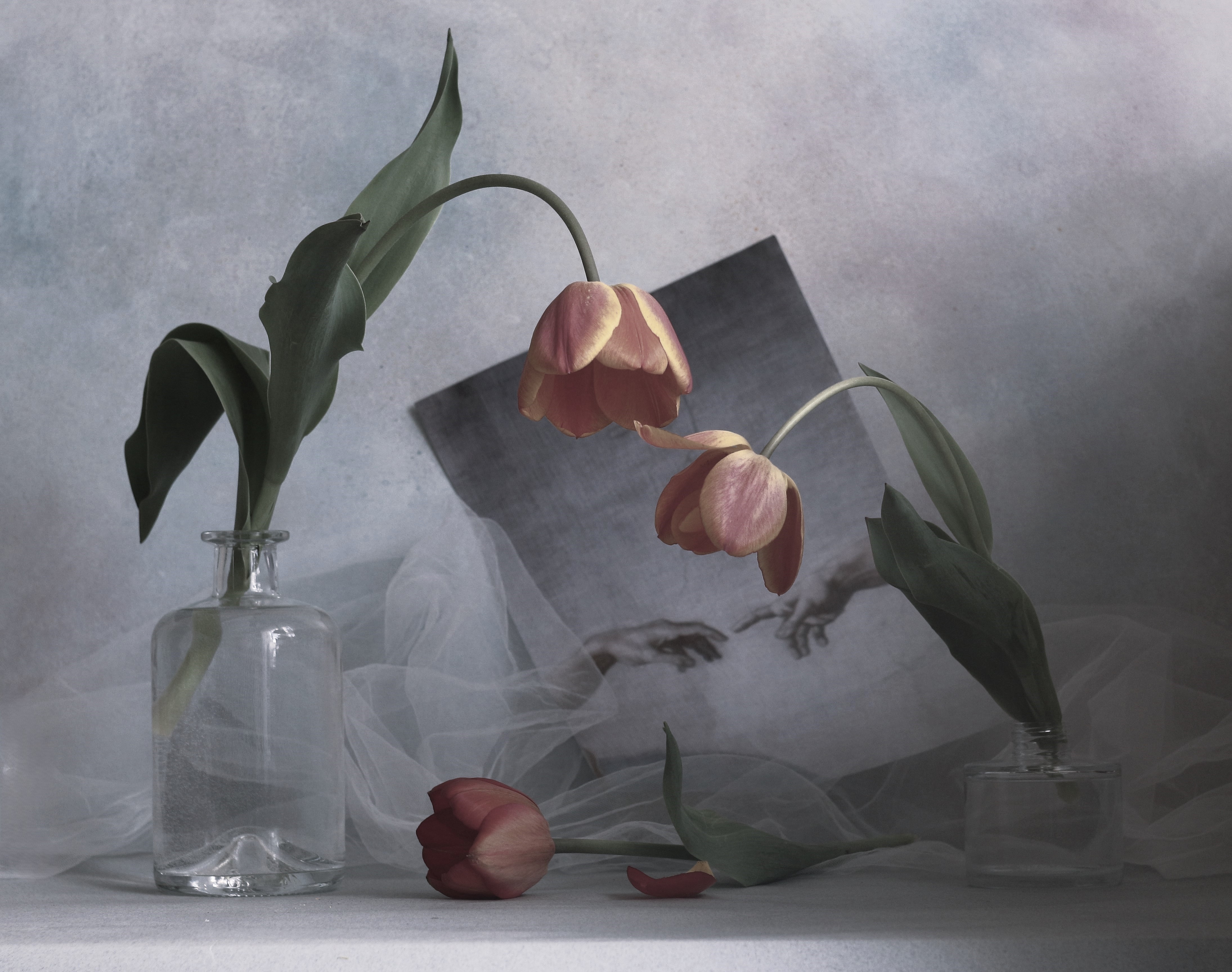 , Людмила Хрусталева*