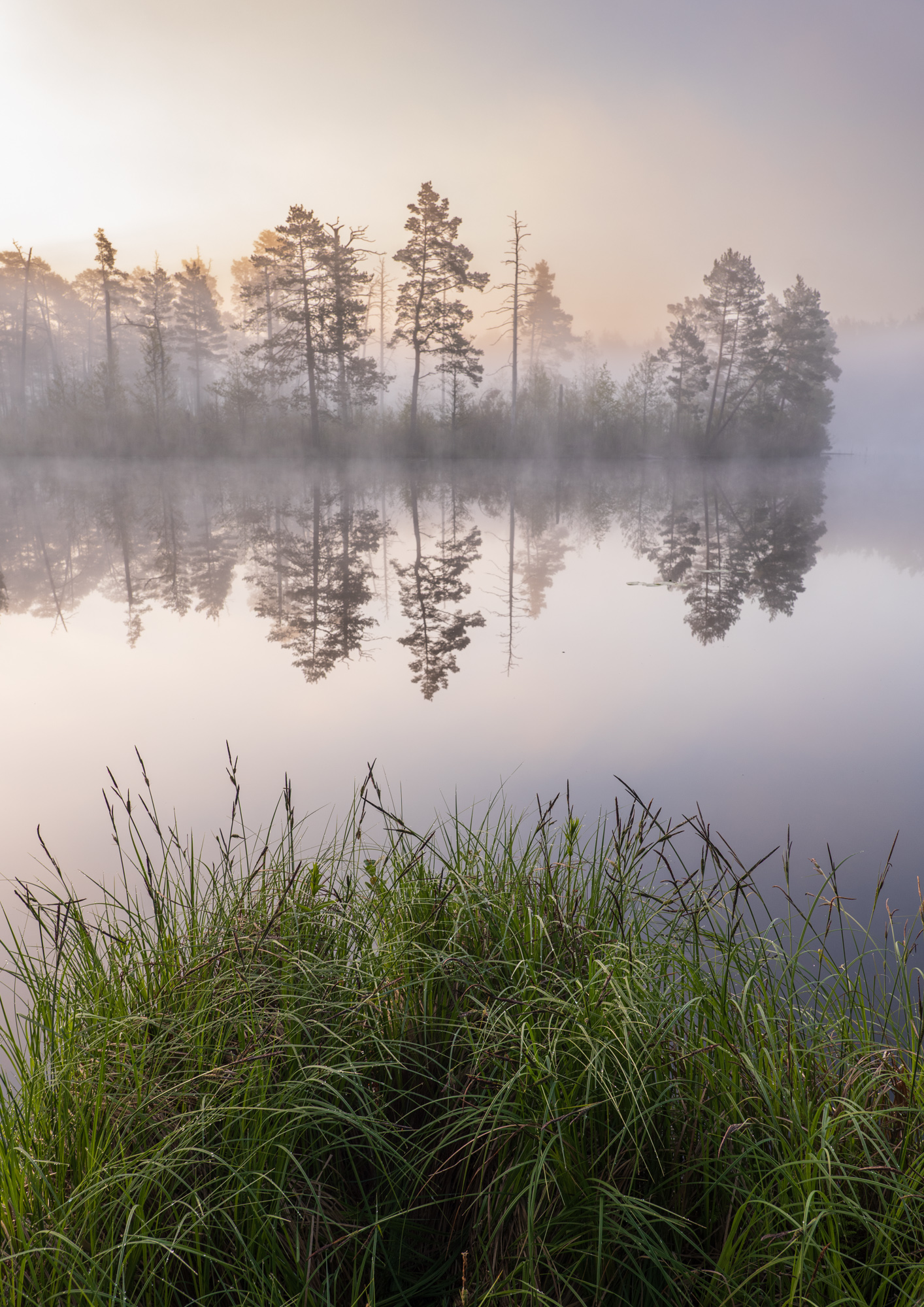 , Гордон Николай