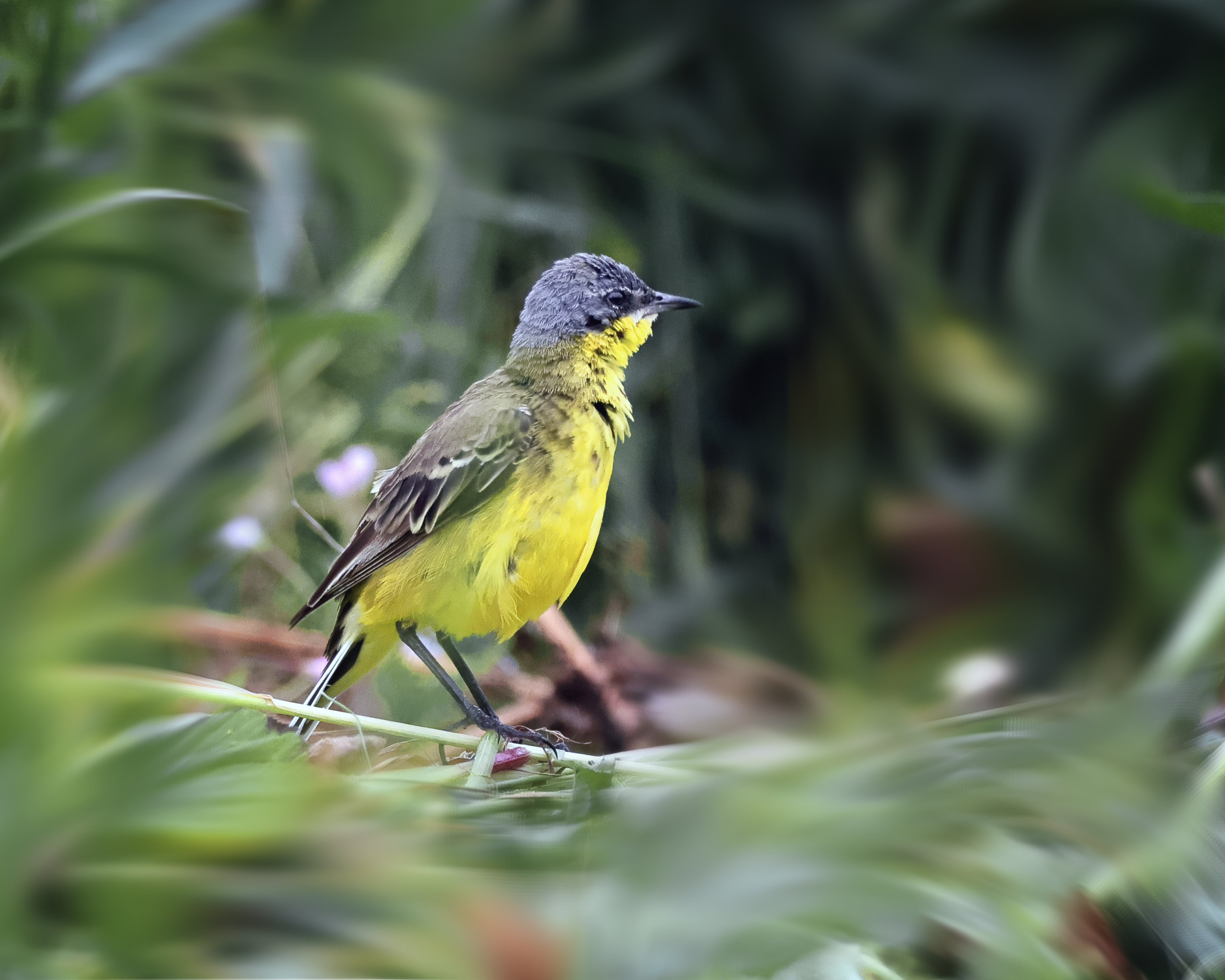 , Александр Титов