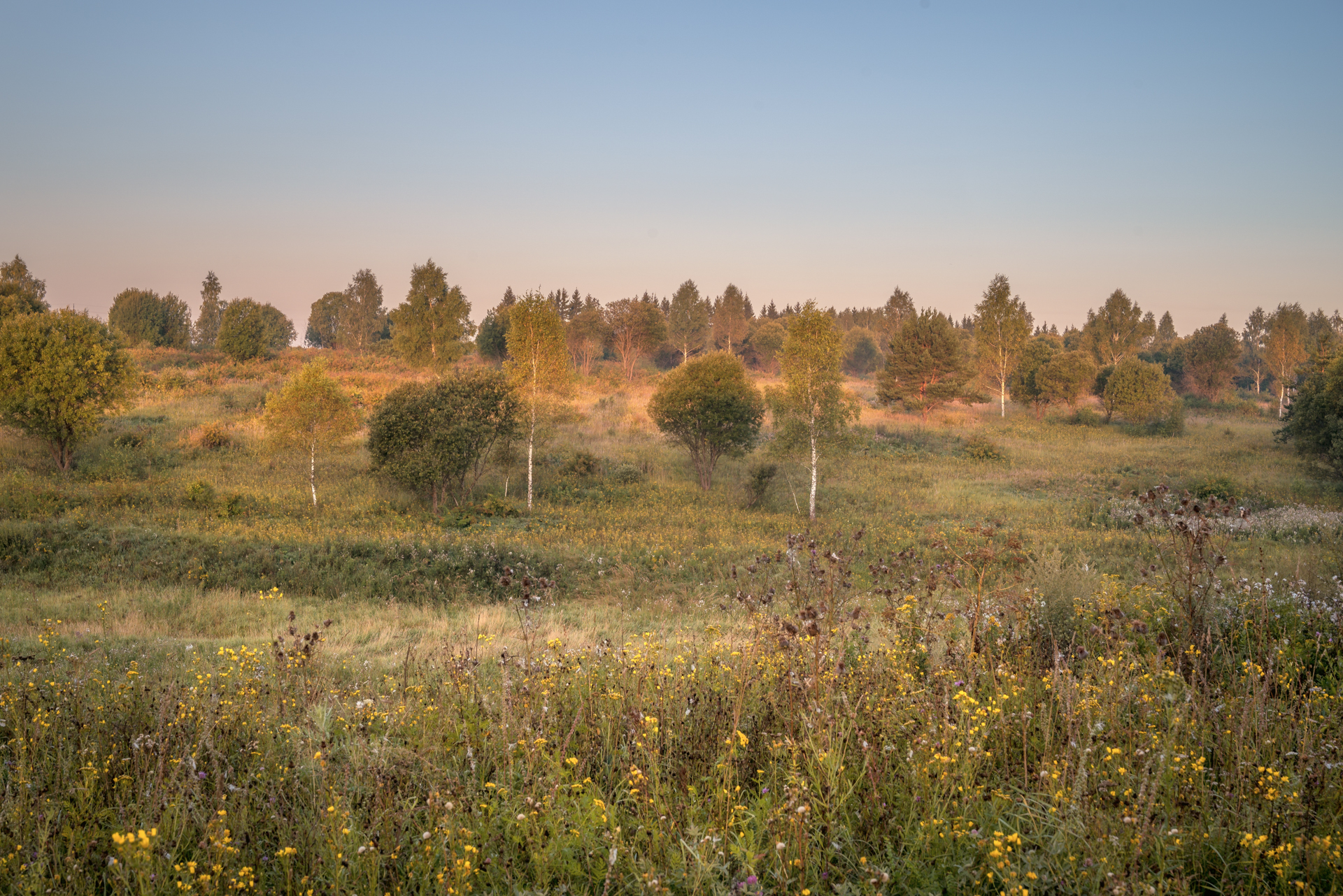, Сережин Сережа