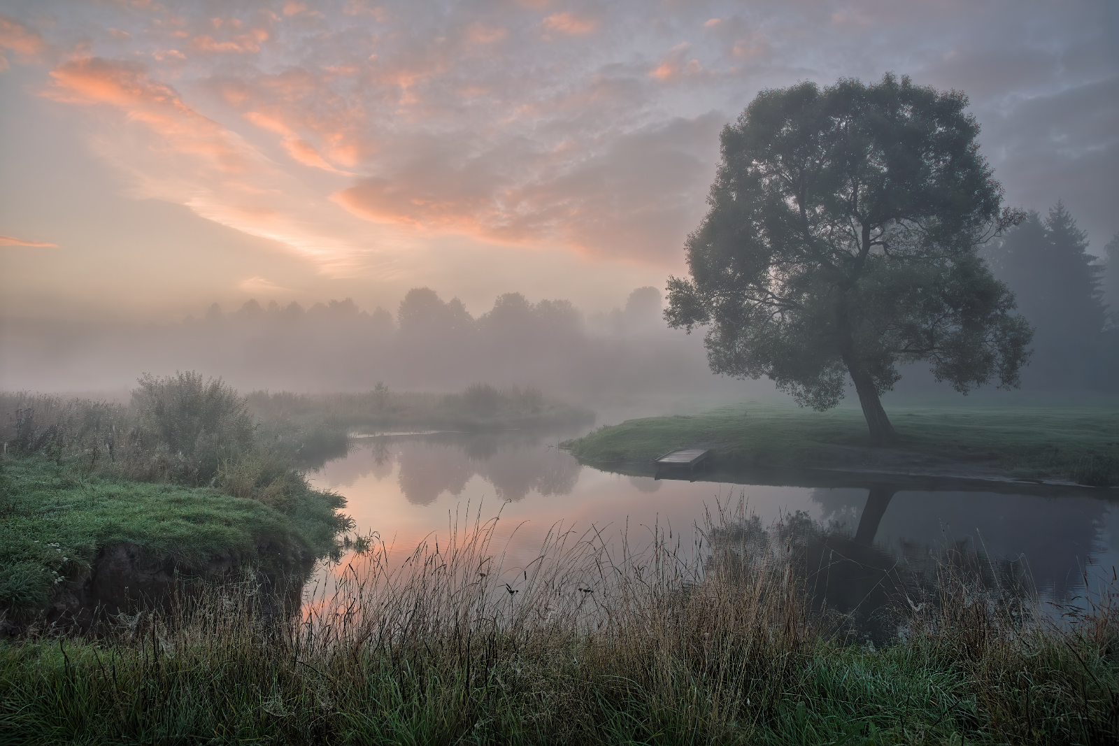 , Евгений Ерохин