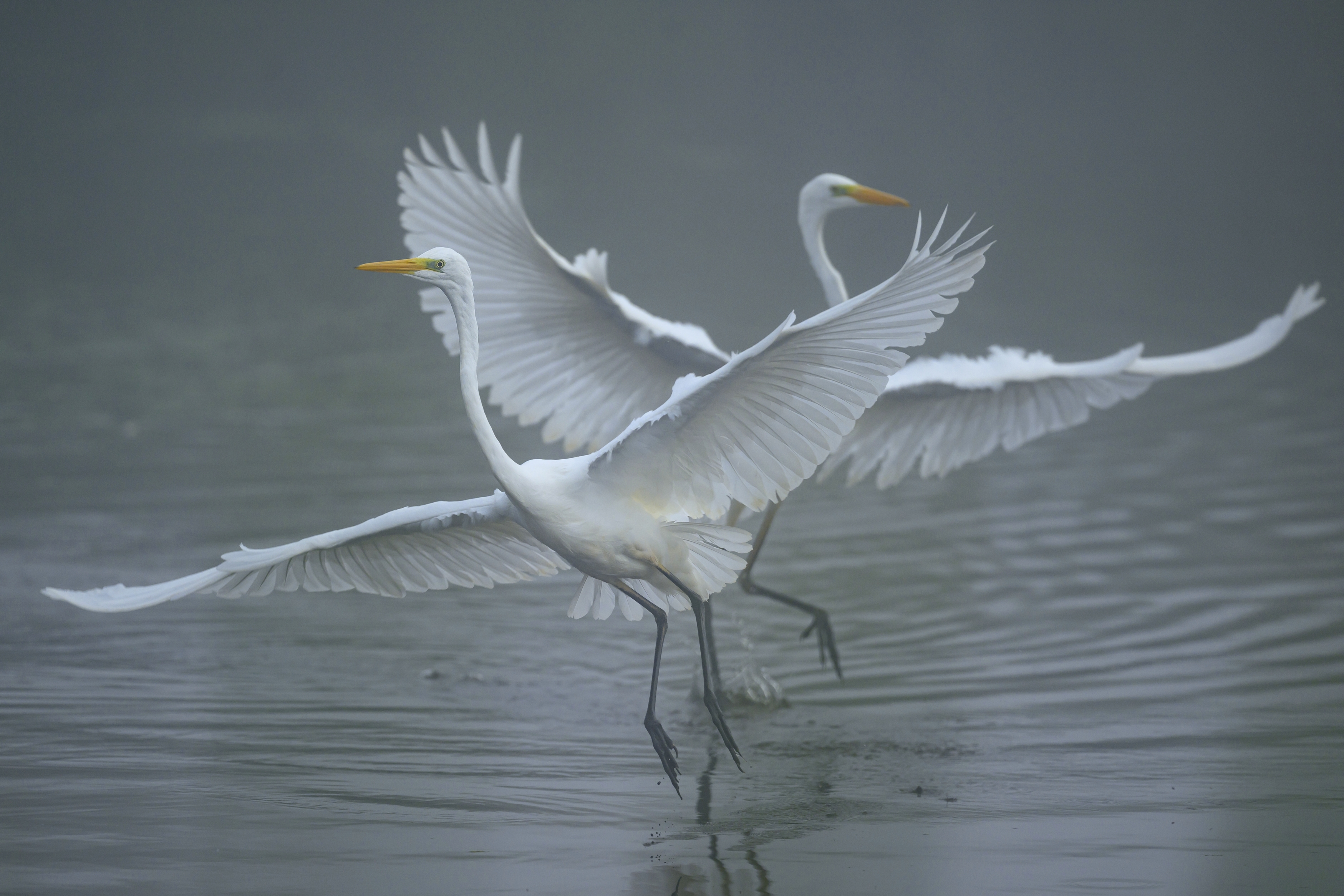 , Пупонин Сергей