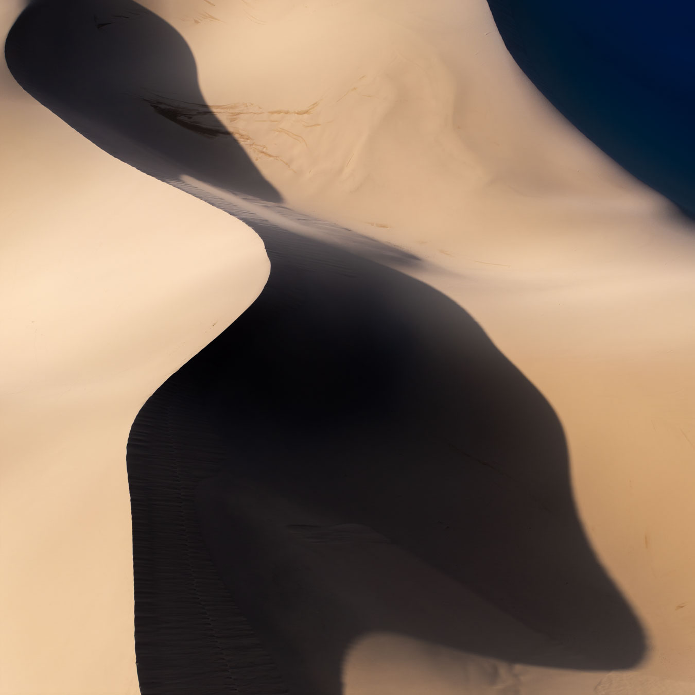 , Бушков Евгений