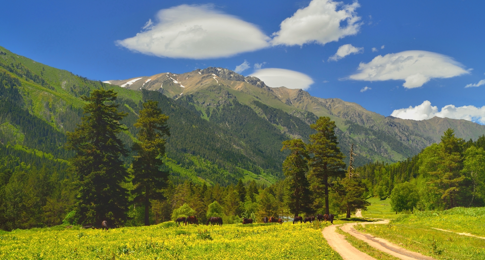 горы лето кавказ, Александр Жарников