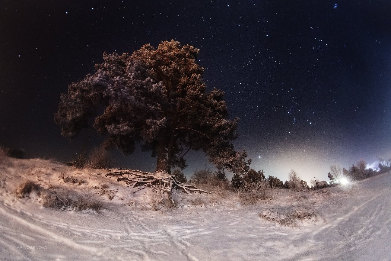 зима, ночь, небо, снег, звезды, дерево, сосна, дорога, фонарь, Татьяна Афиногенова