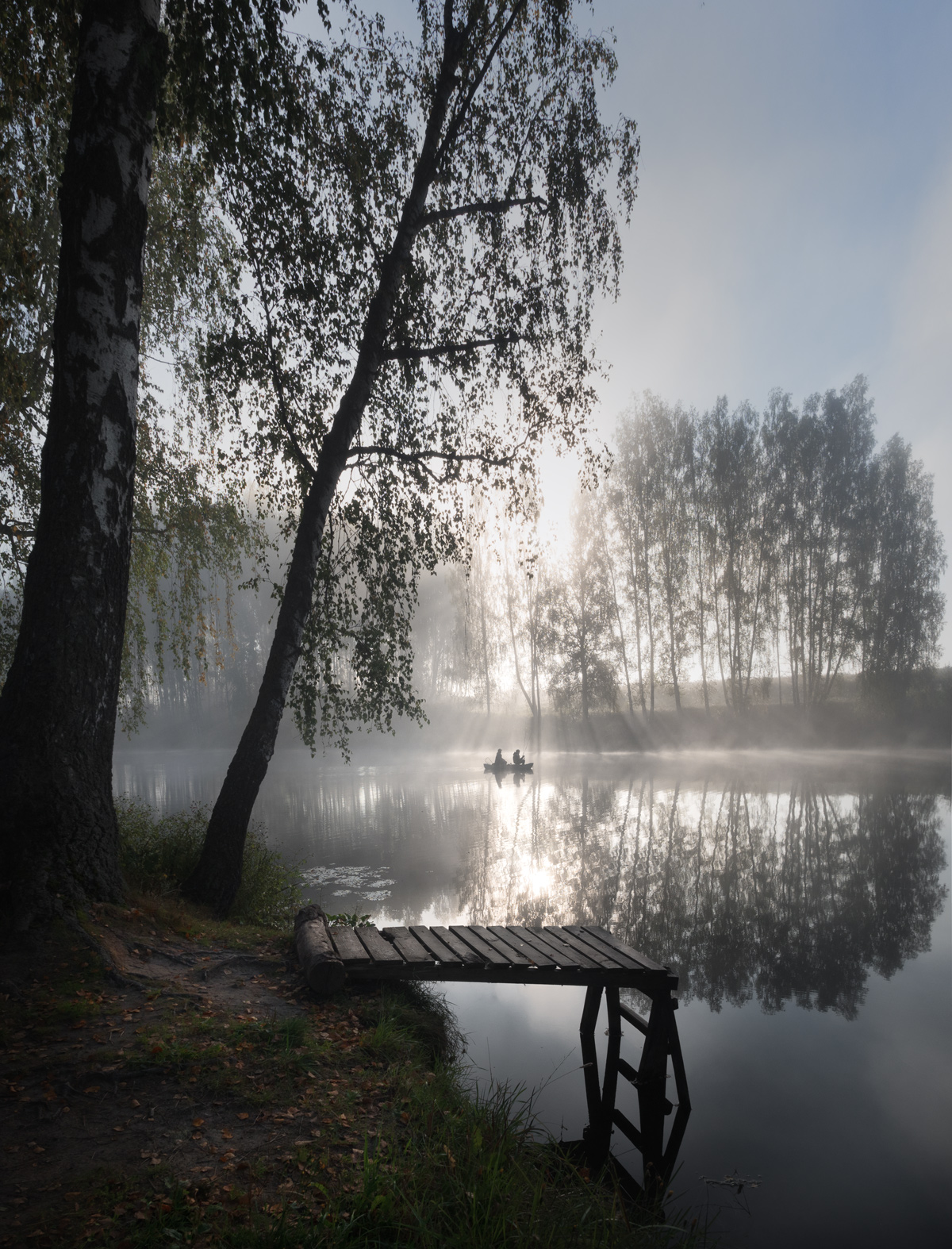 лес, свет, утро, природа, Баранов Олег