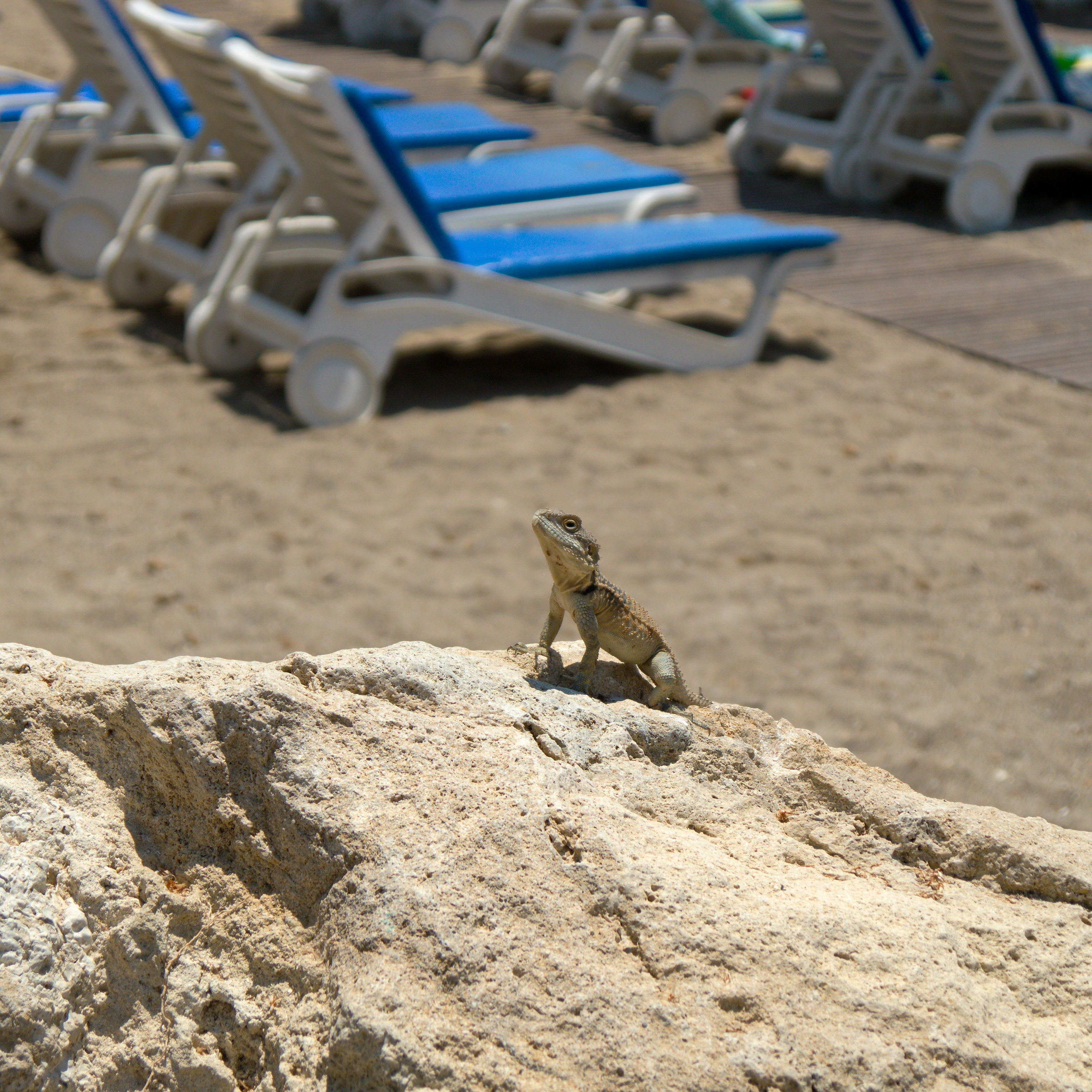 кипр, лето, пляж, Виктор Гурков