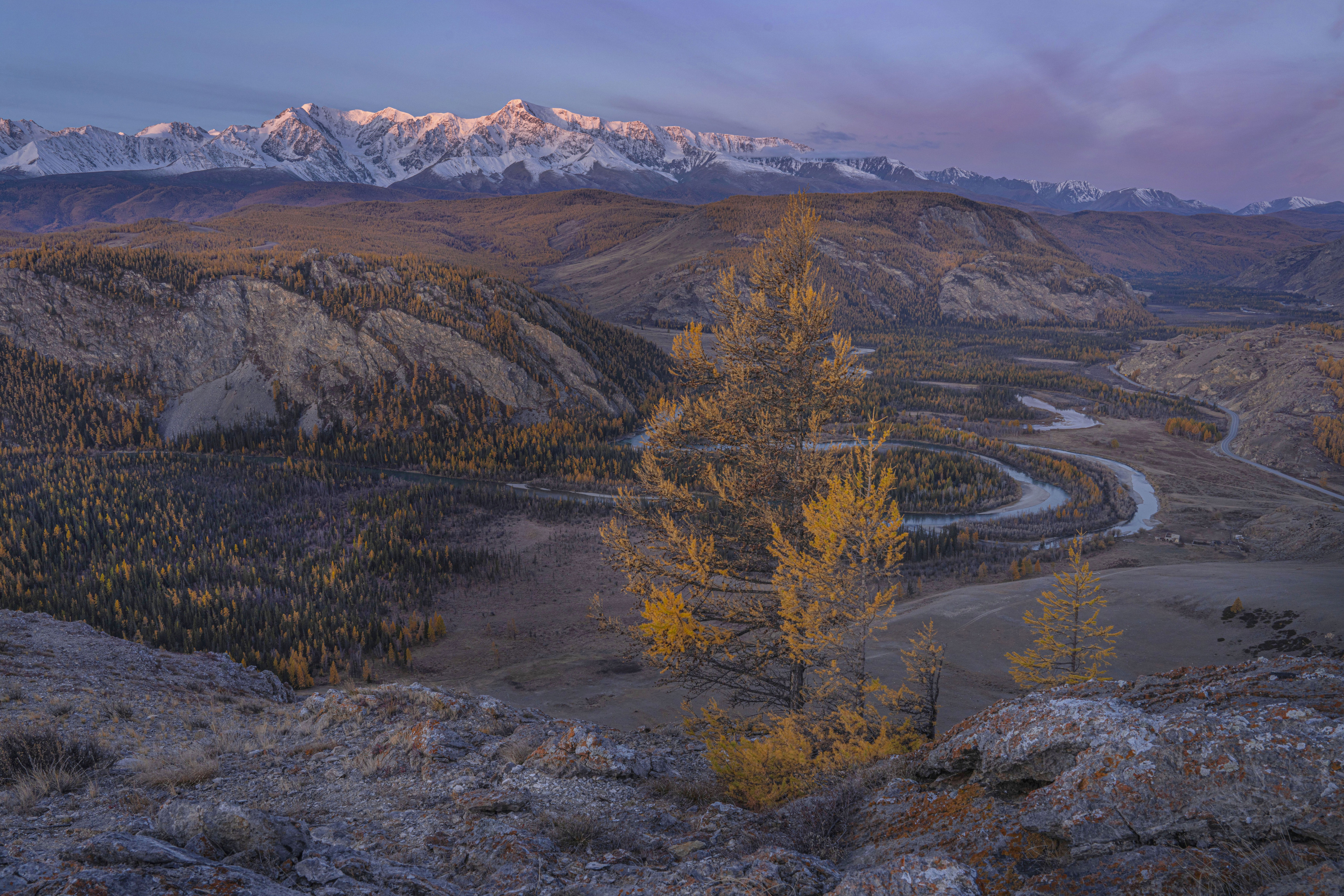 алтай, осень, меандры, чуя, Дейнекина Галина