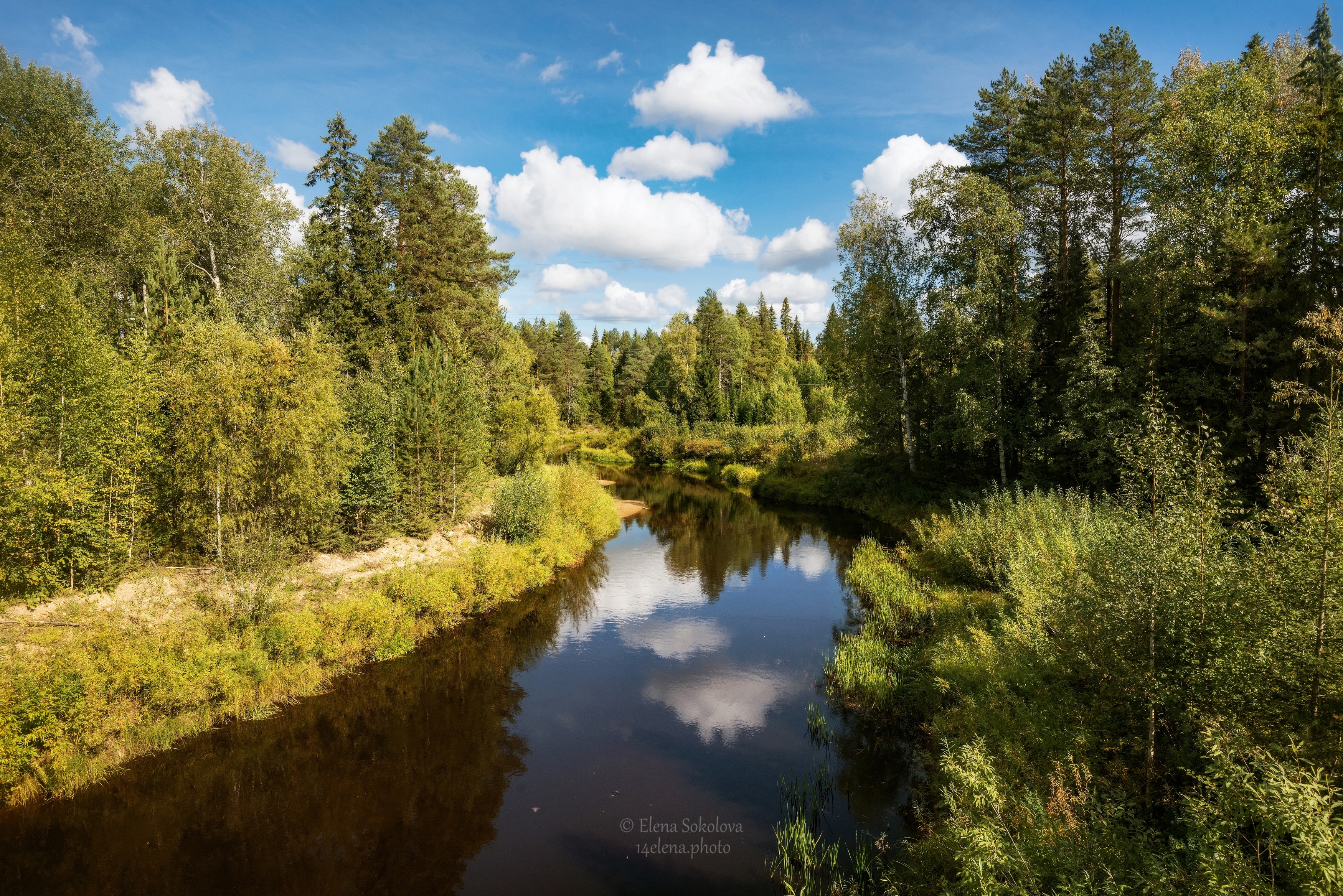 колынва, река, Соколова Елена