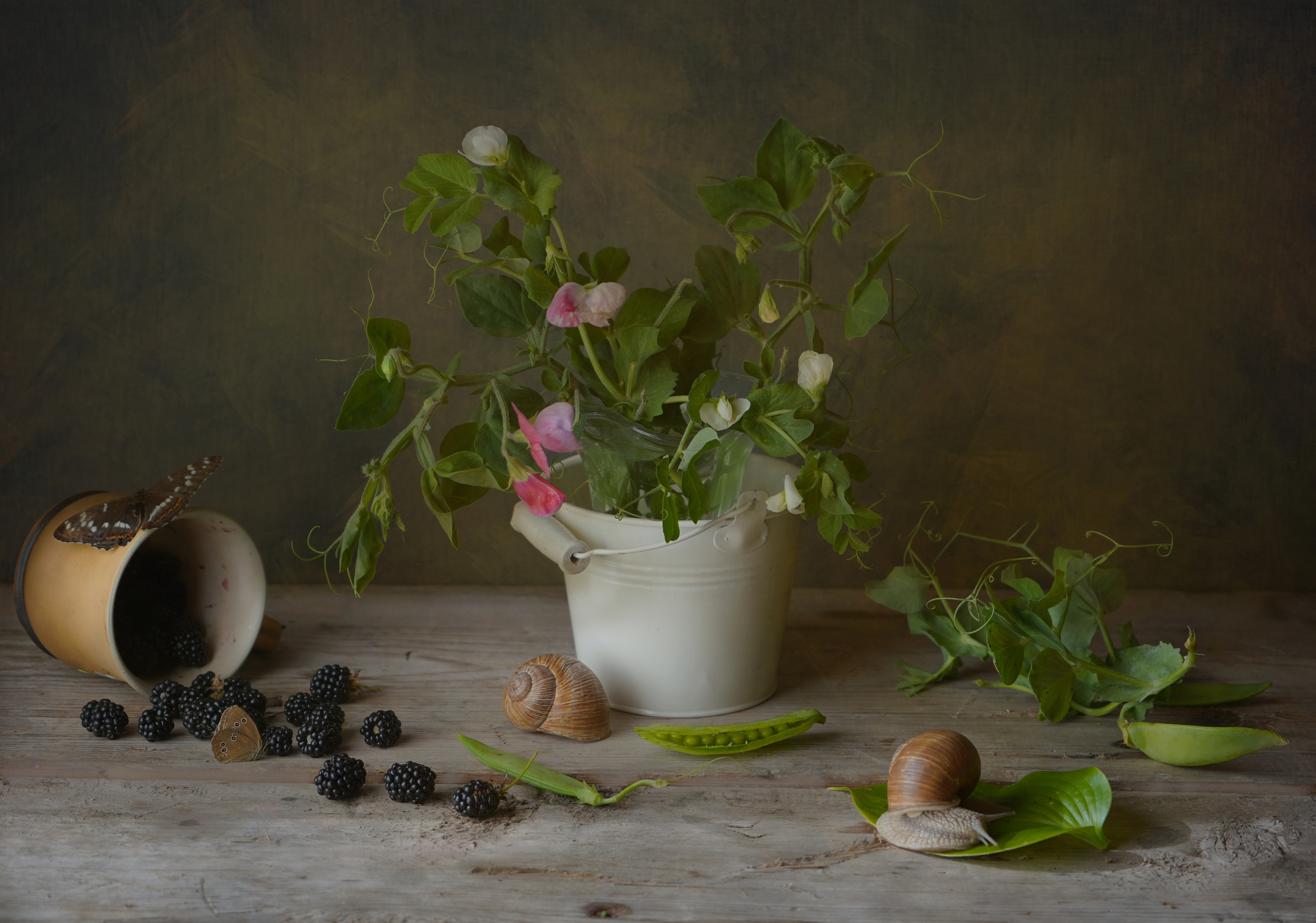 , Хохлова (Ермохина) Наталья