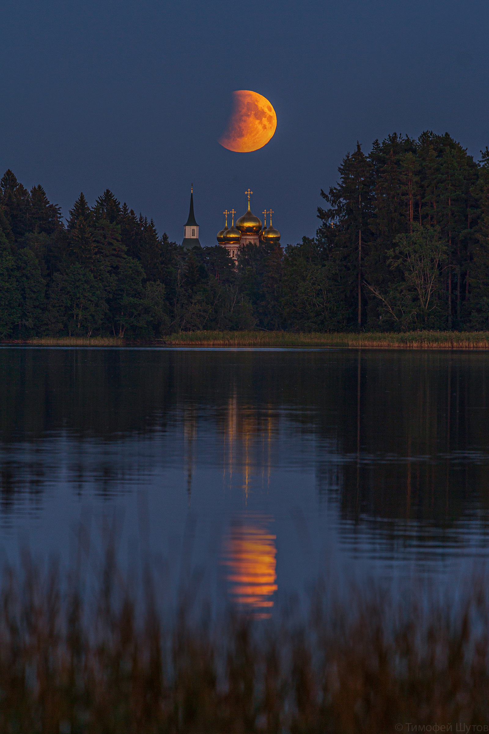 лунноезатмение2025, Тимофей Шутов