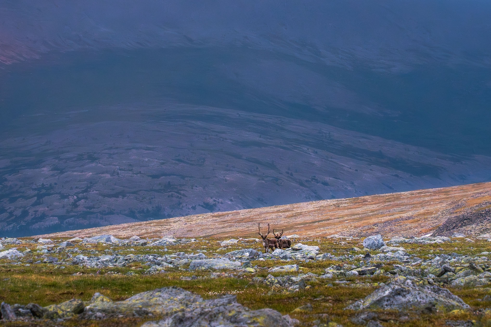 , Межин Сергей