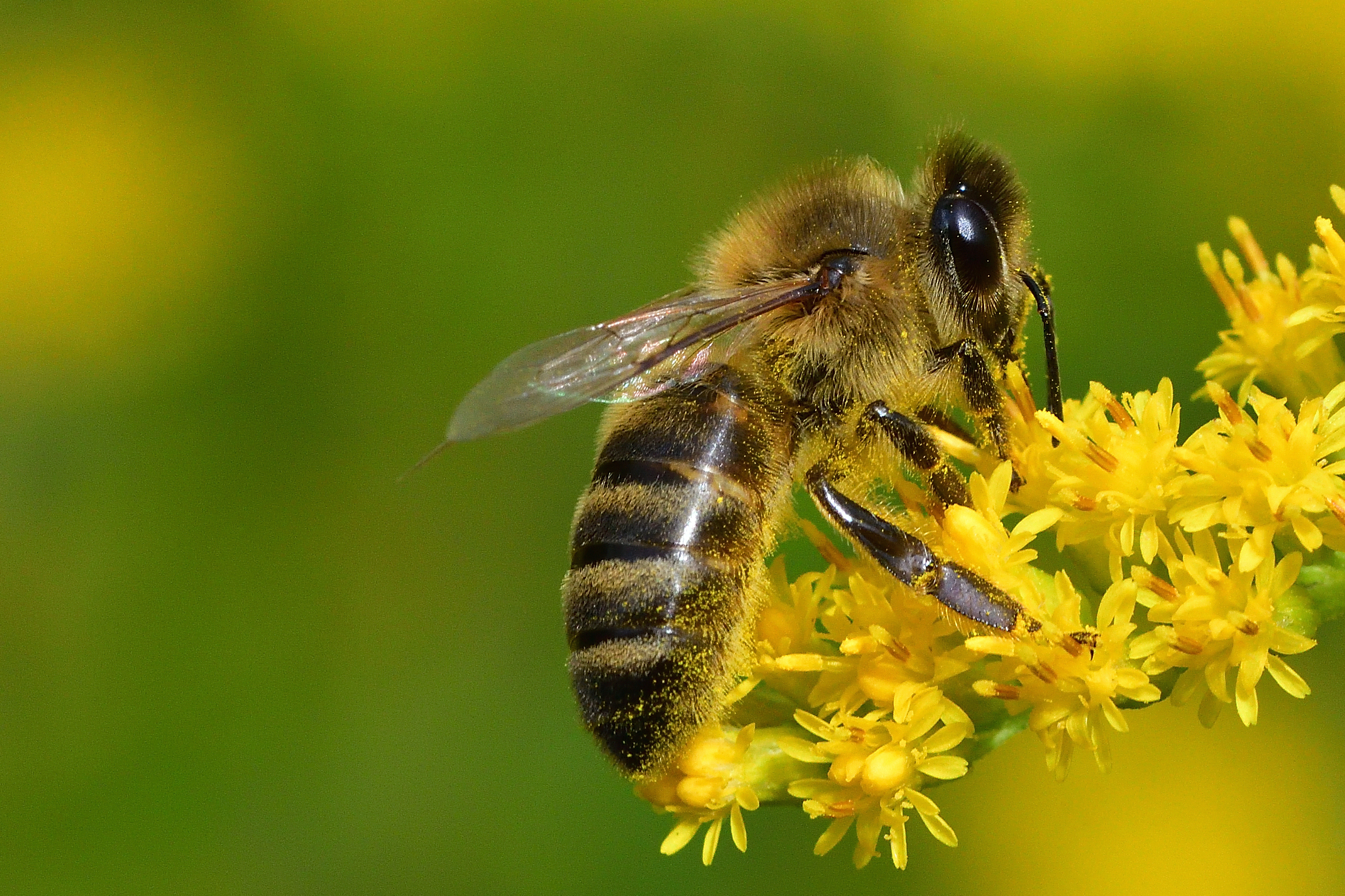 , Корнейчук Игорь