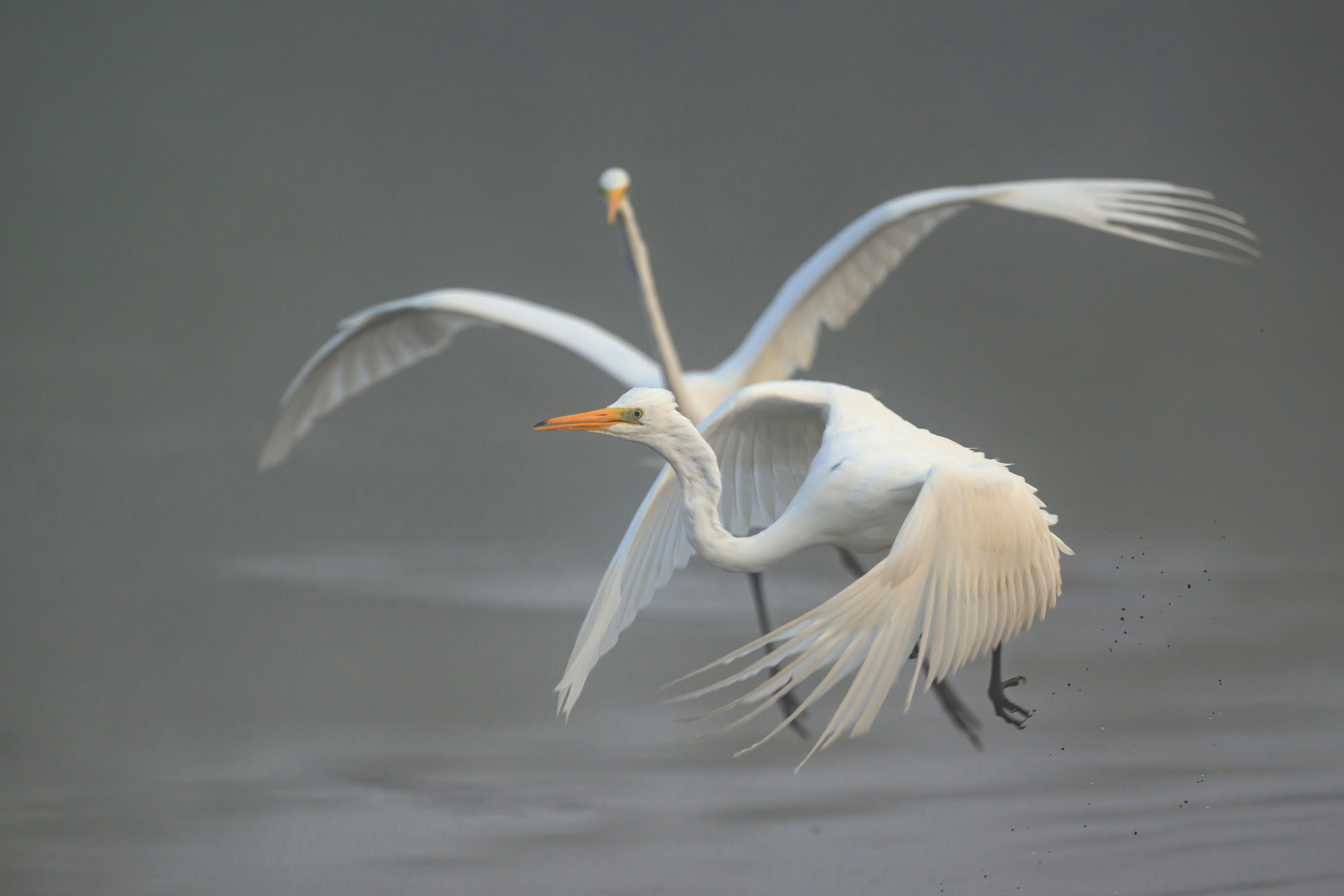 , Пупонин Сергей