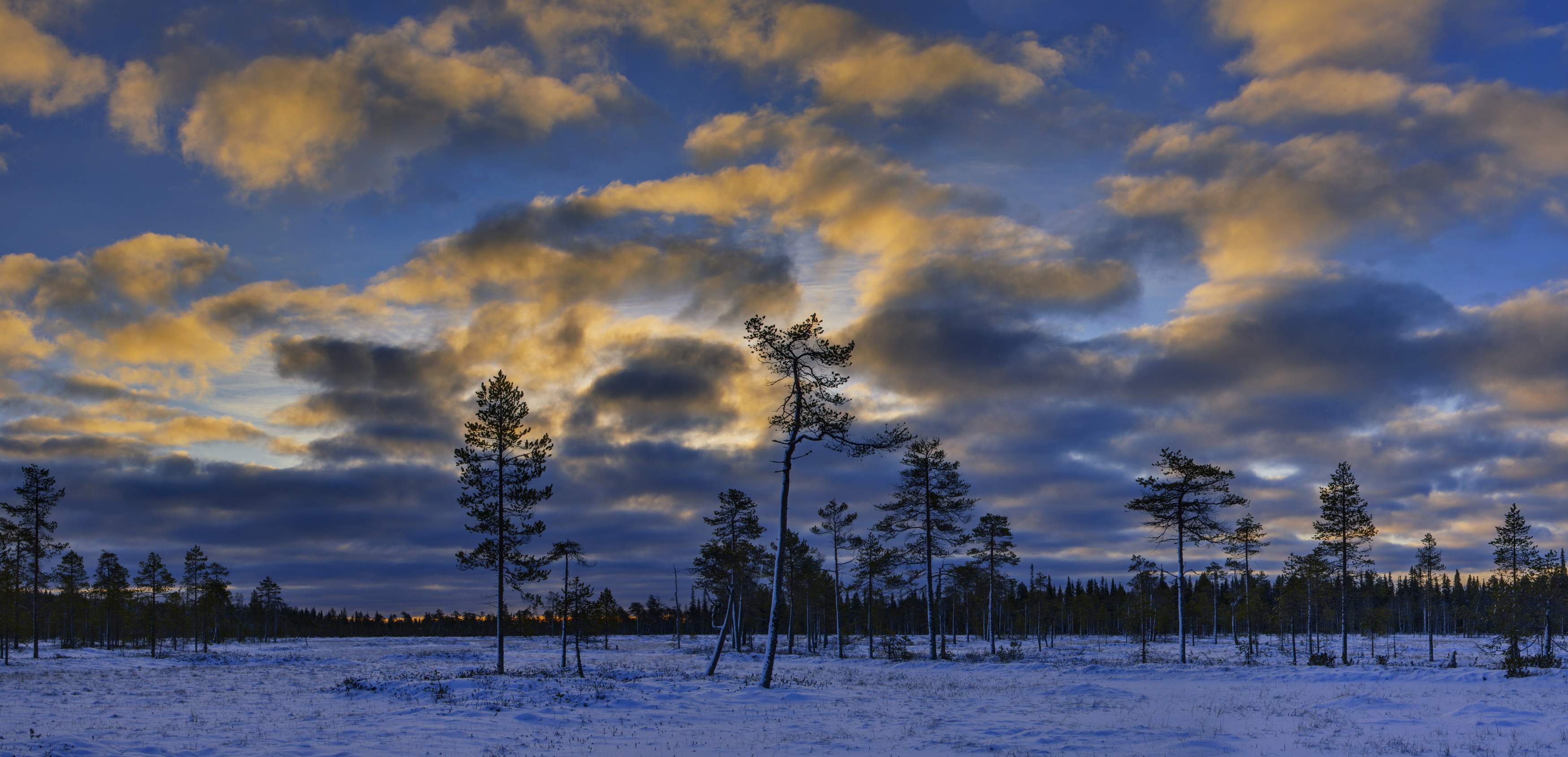 , Игорь Щербаков