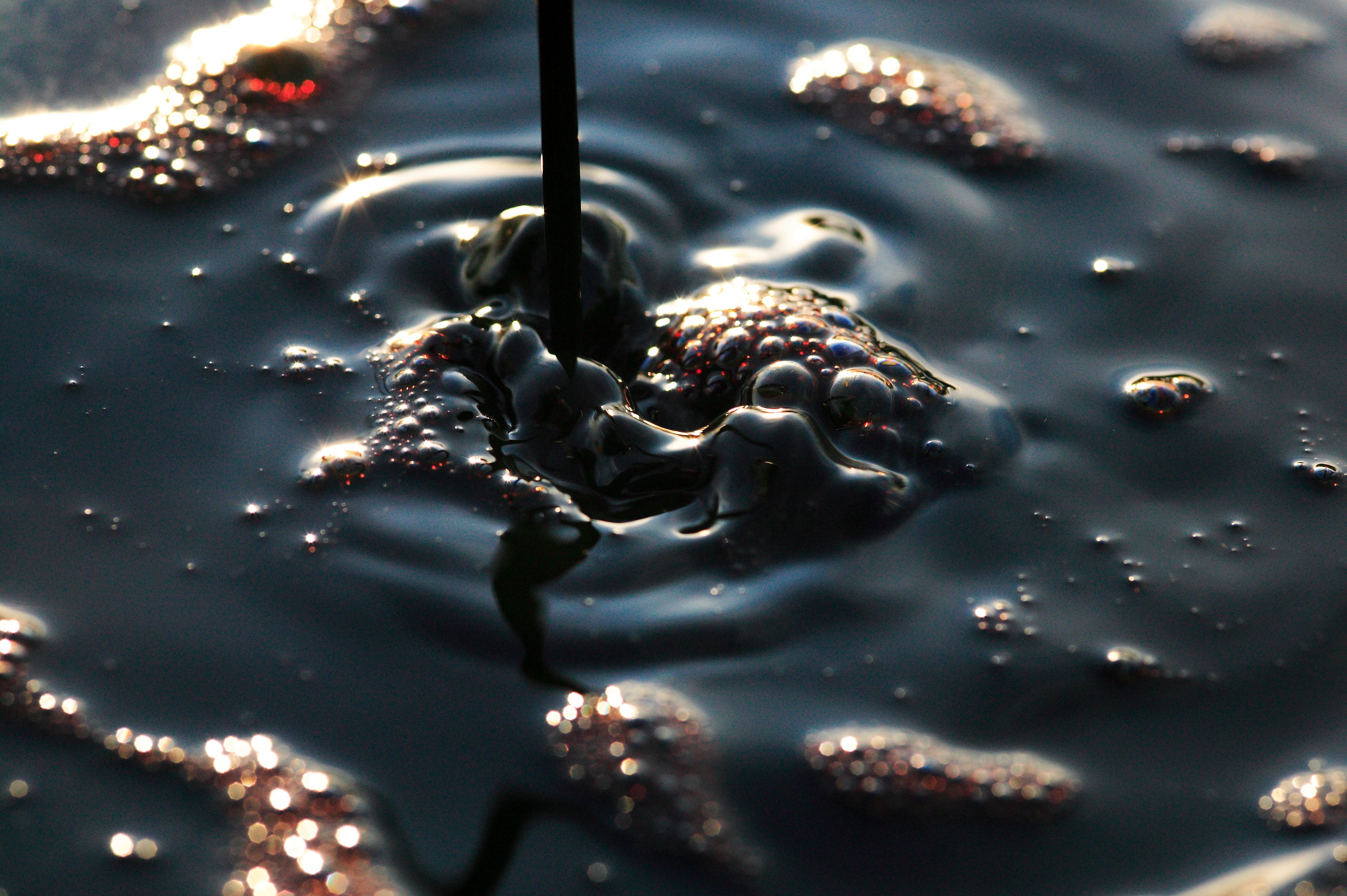 , Дронов Михаил