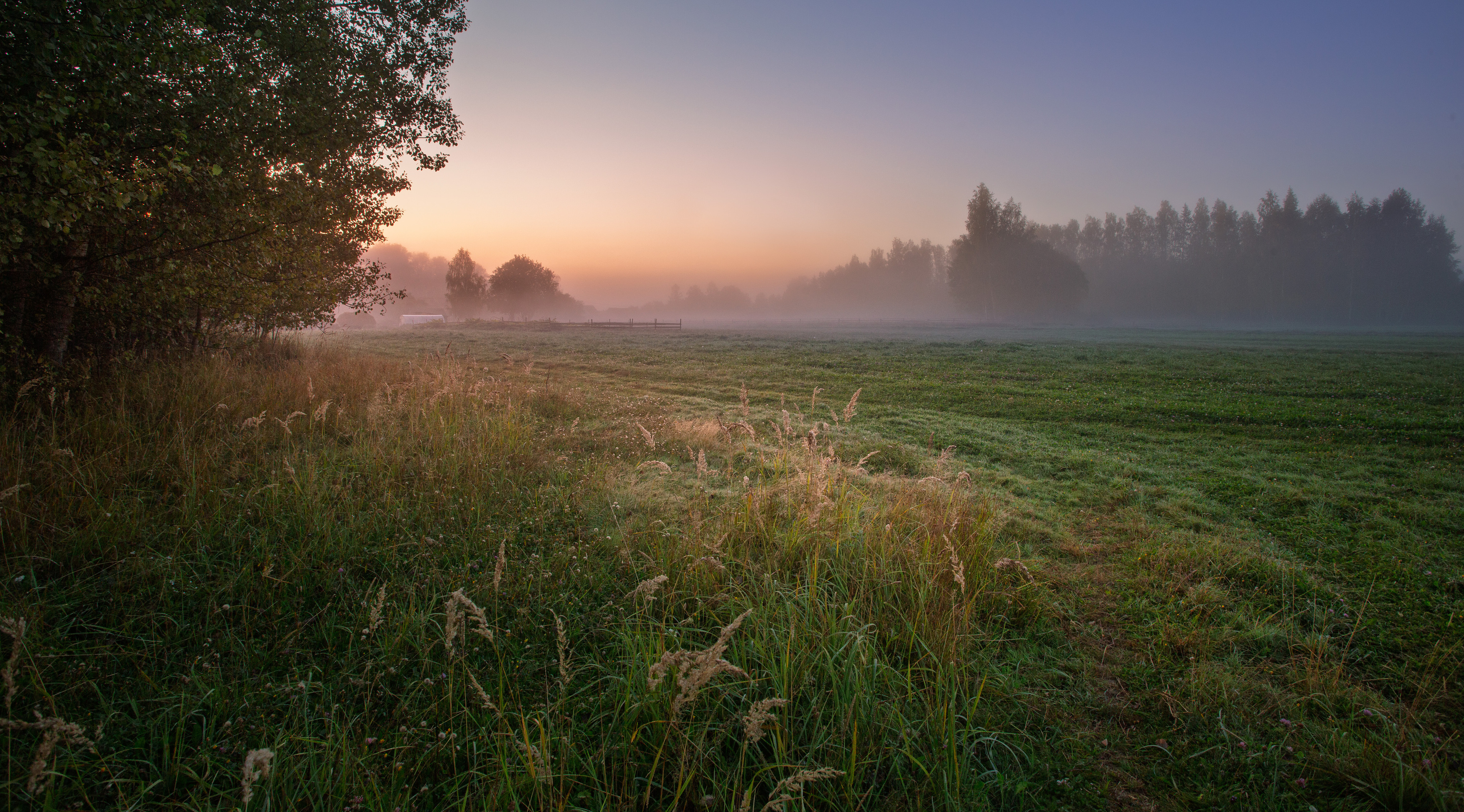 сентябрь рассвет Торбеево, Зеленько Дмитрий
