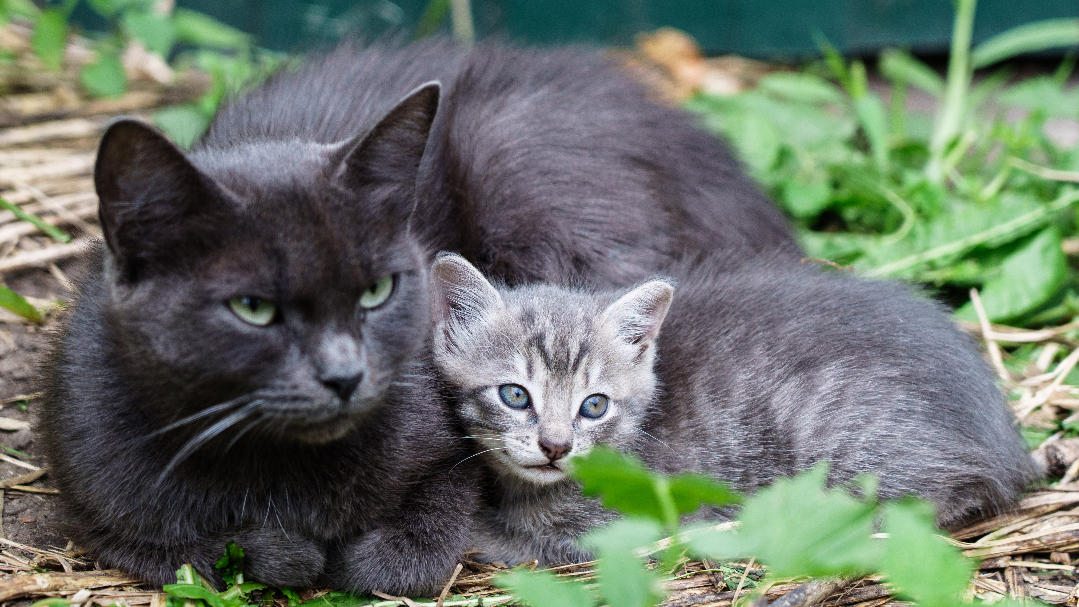 , Вертиков Юрий