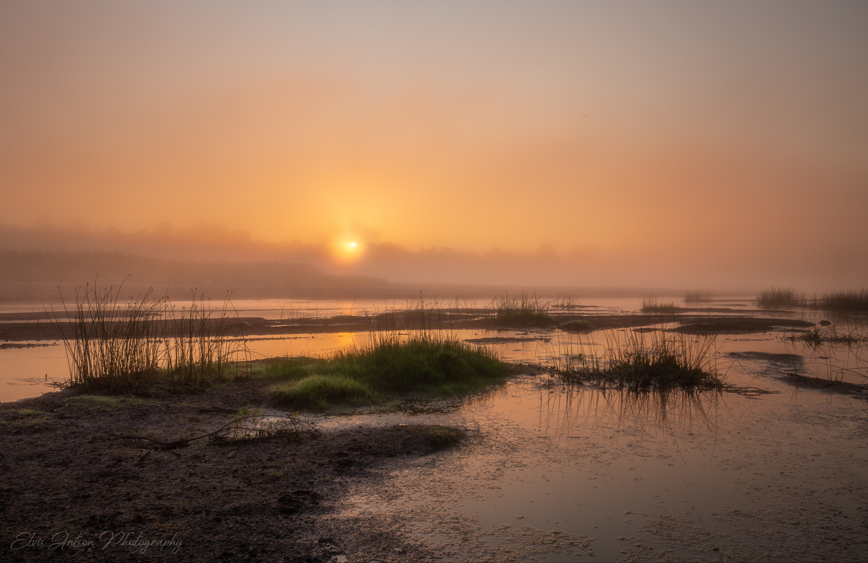 пейзаж, природа, рассвет, туман, Antson Elvis