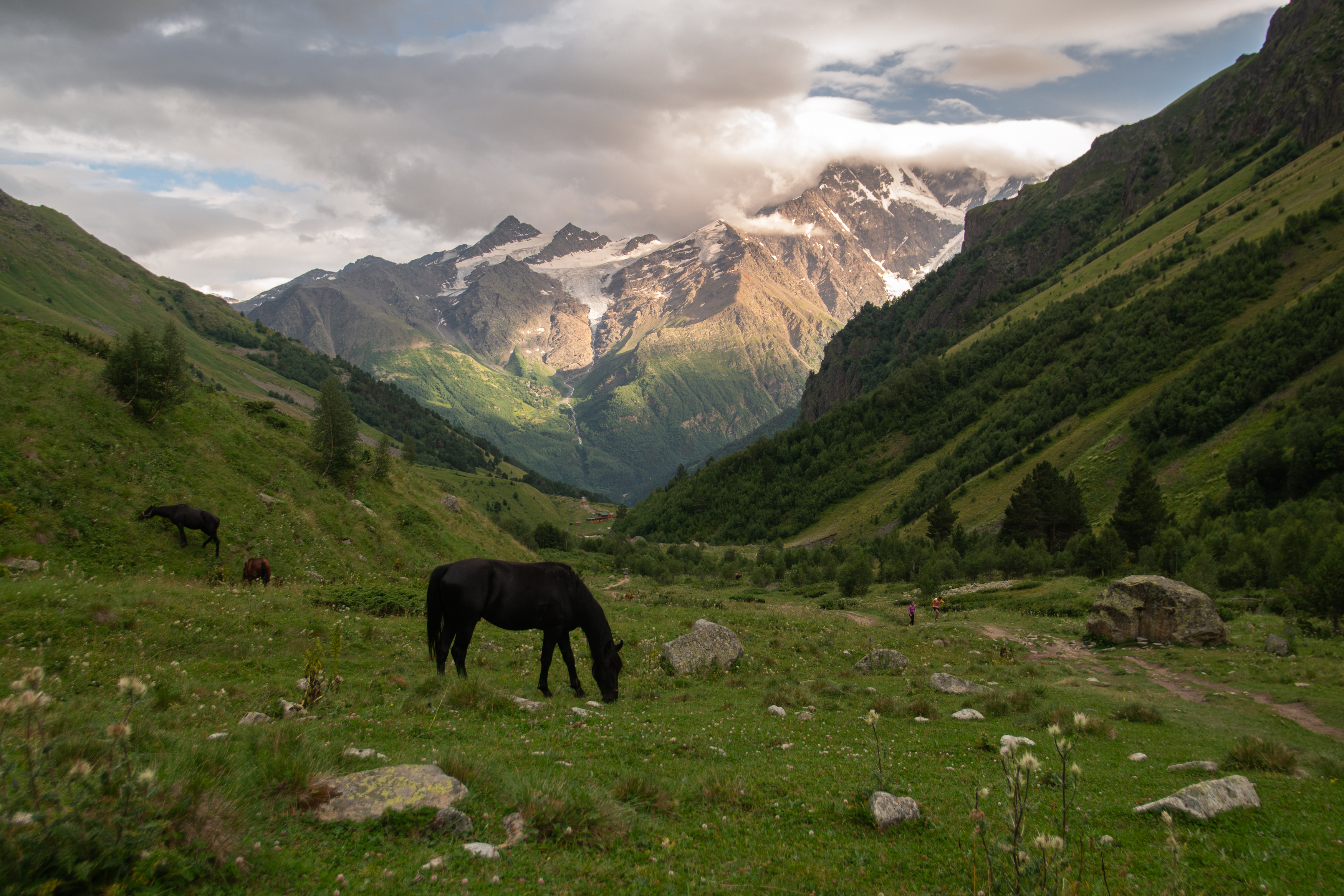 , Кузнецов Семён