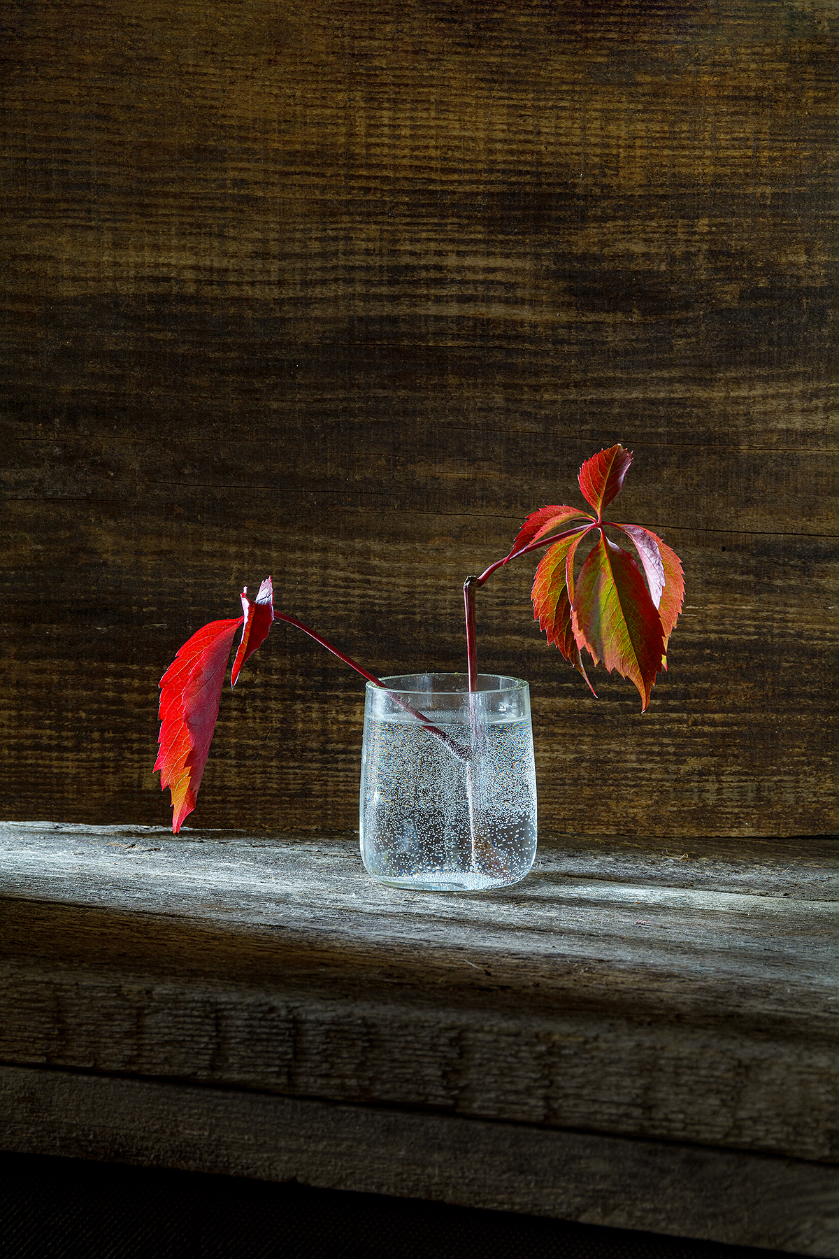 красная веточка, стопка, вода, пузырьки, доска, Алексей Бычков