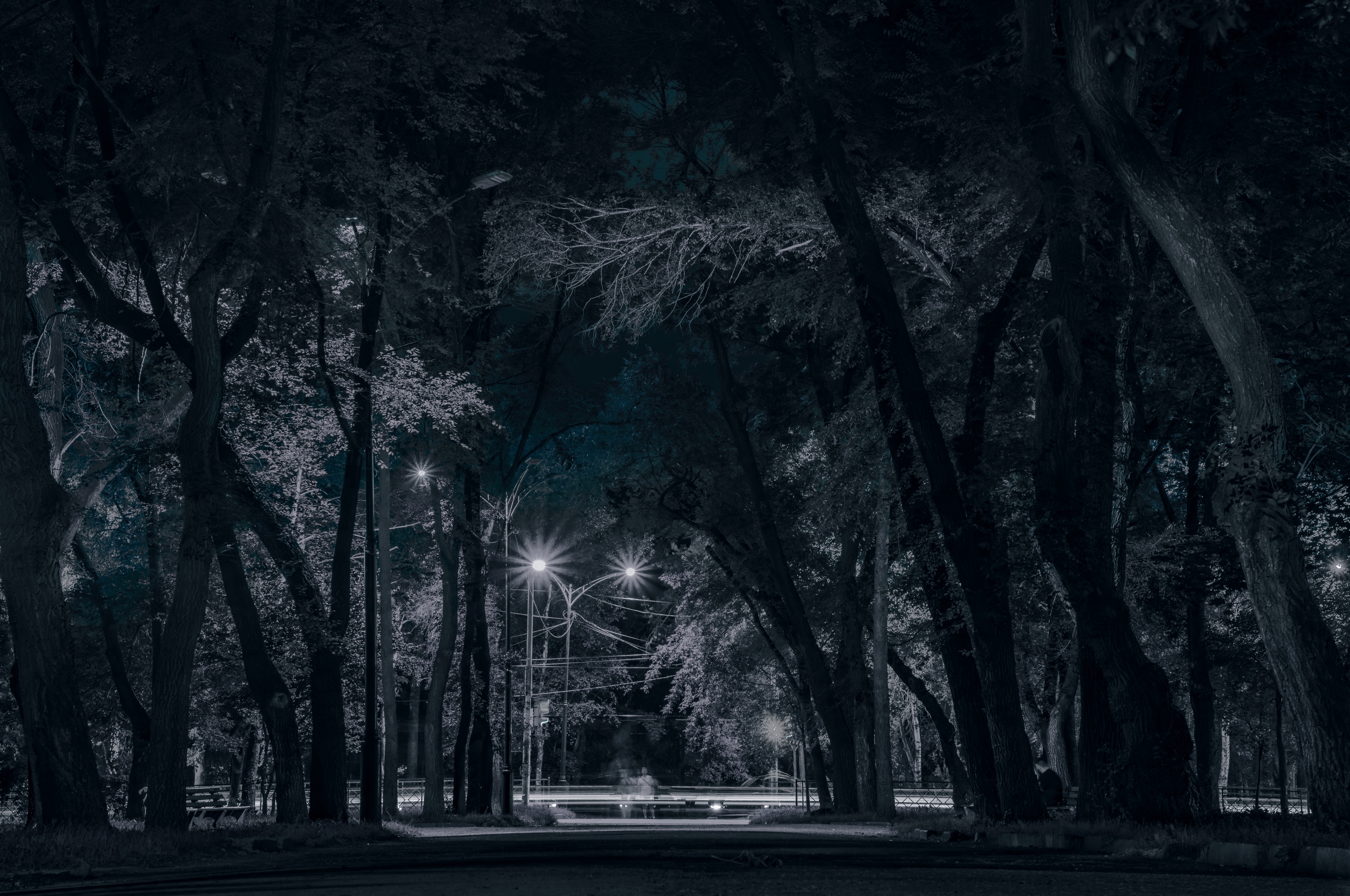 , Антон Сидоров