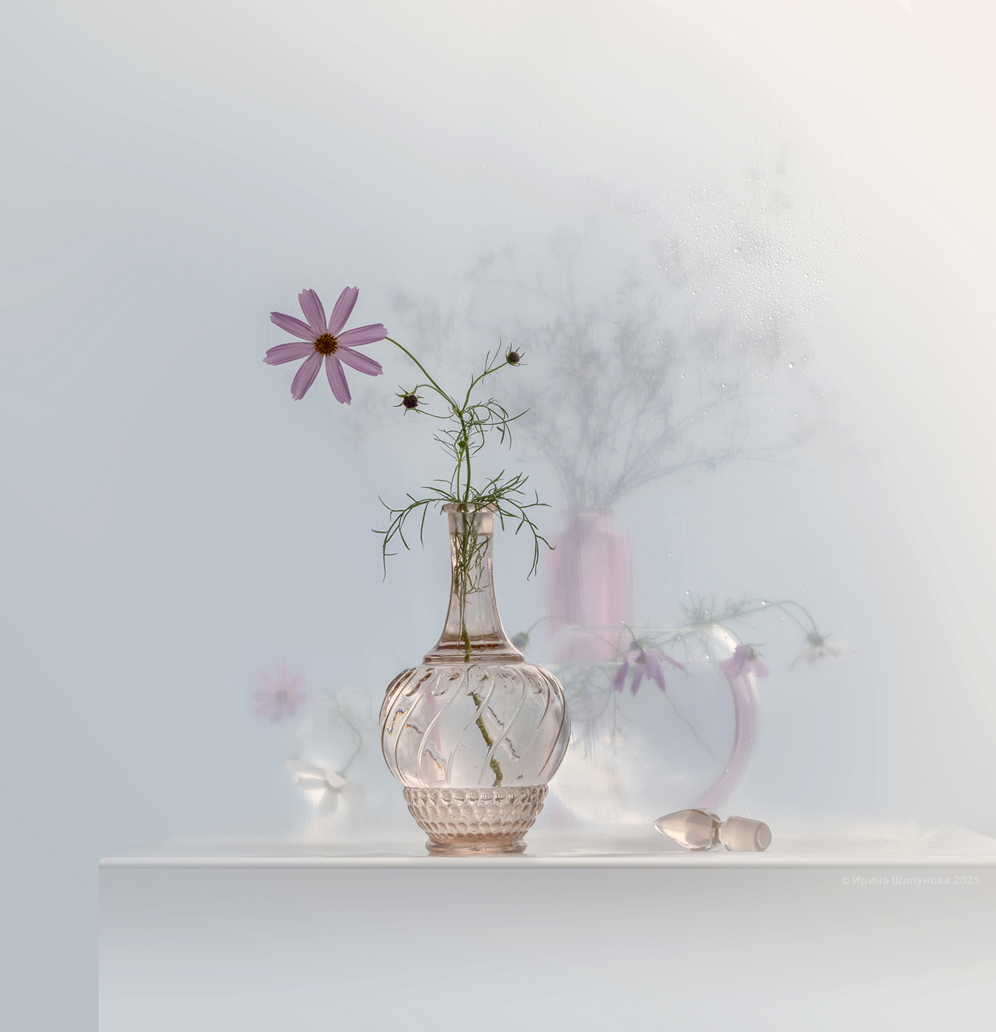 , Шипунова Ирина