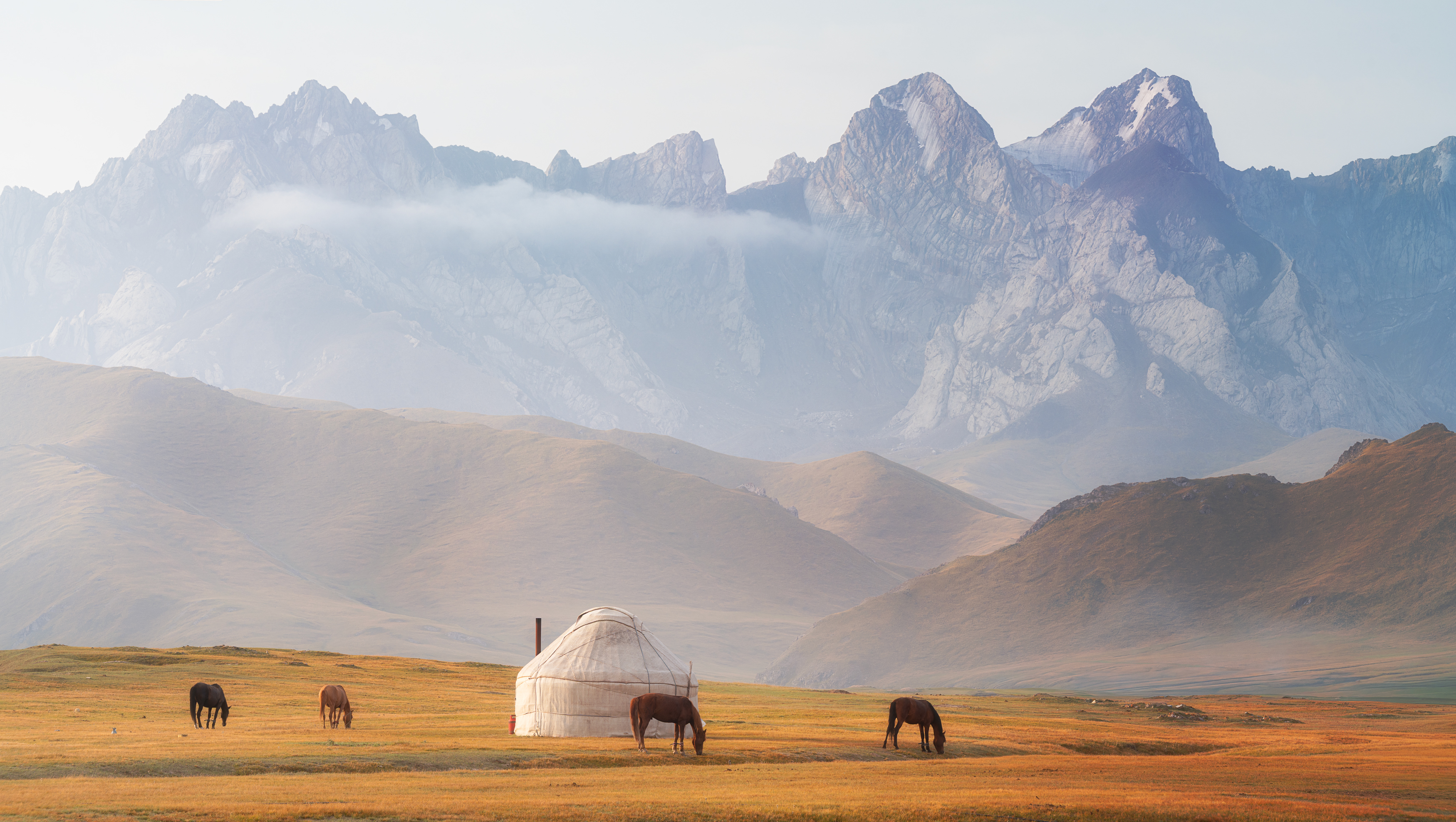 , Антон Агарков