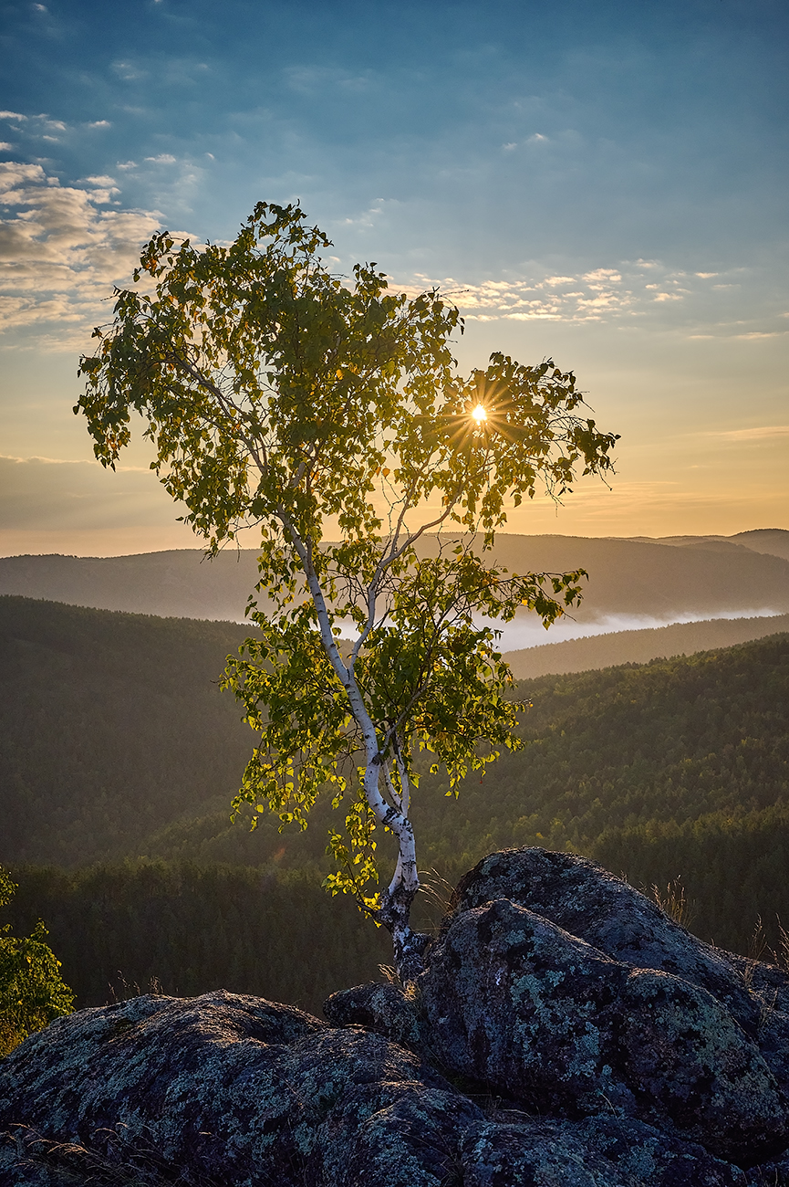 , Михаил Зверев