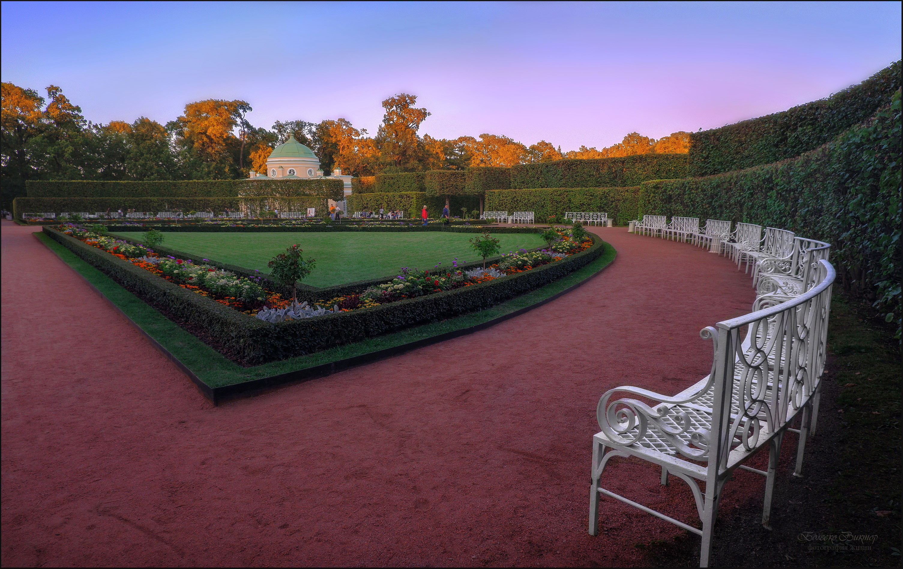 , Болеско Виктор