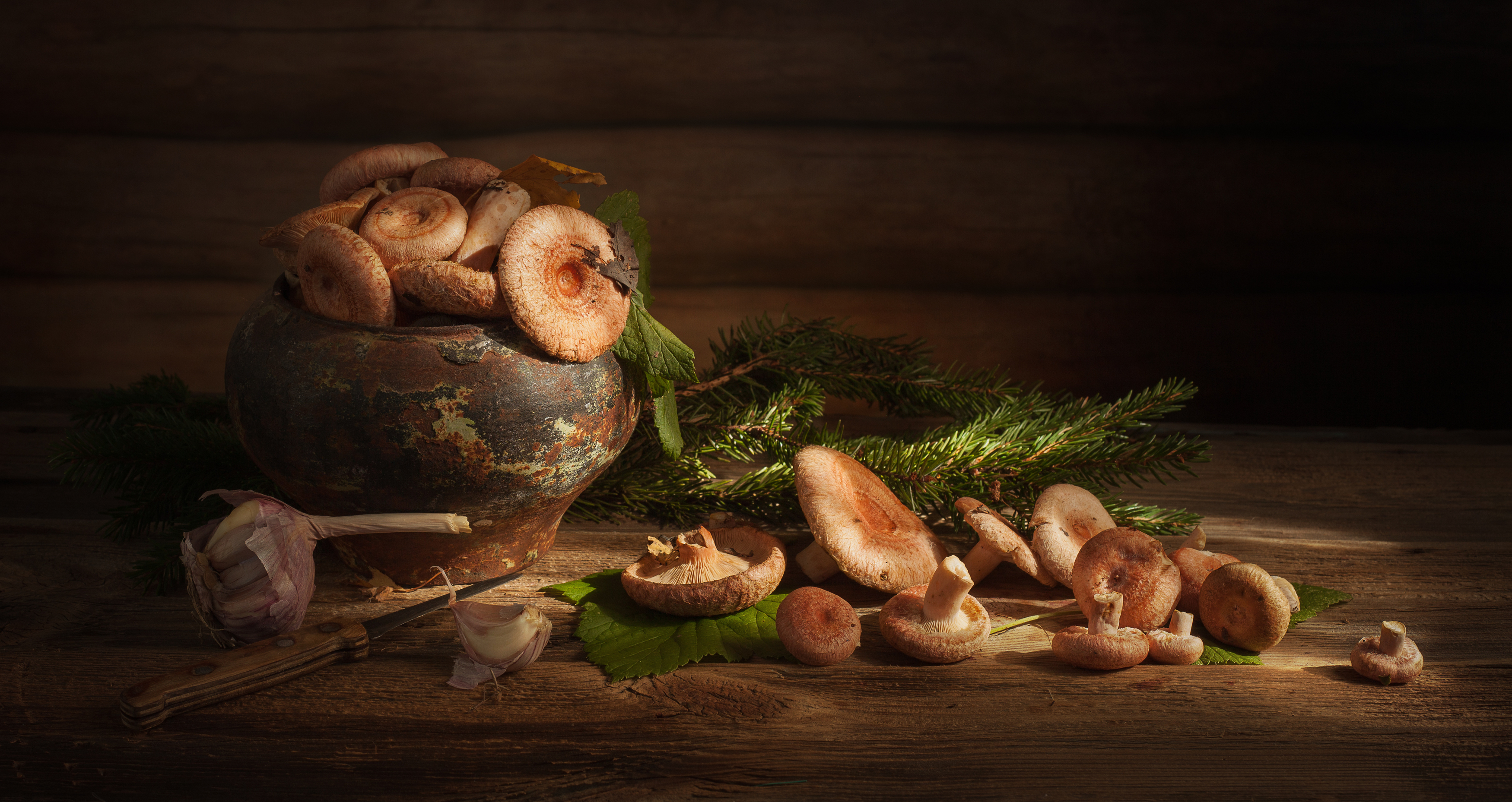 , Хвойнова Елена