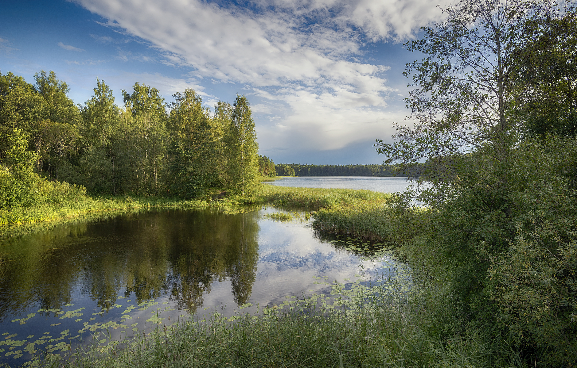 , Сергей Аникин