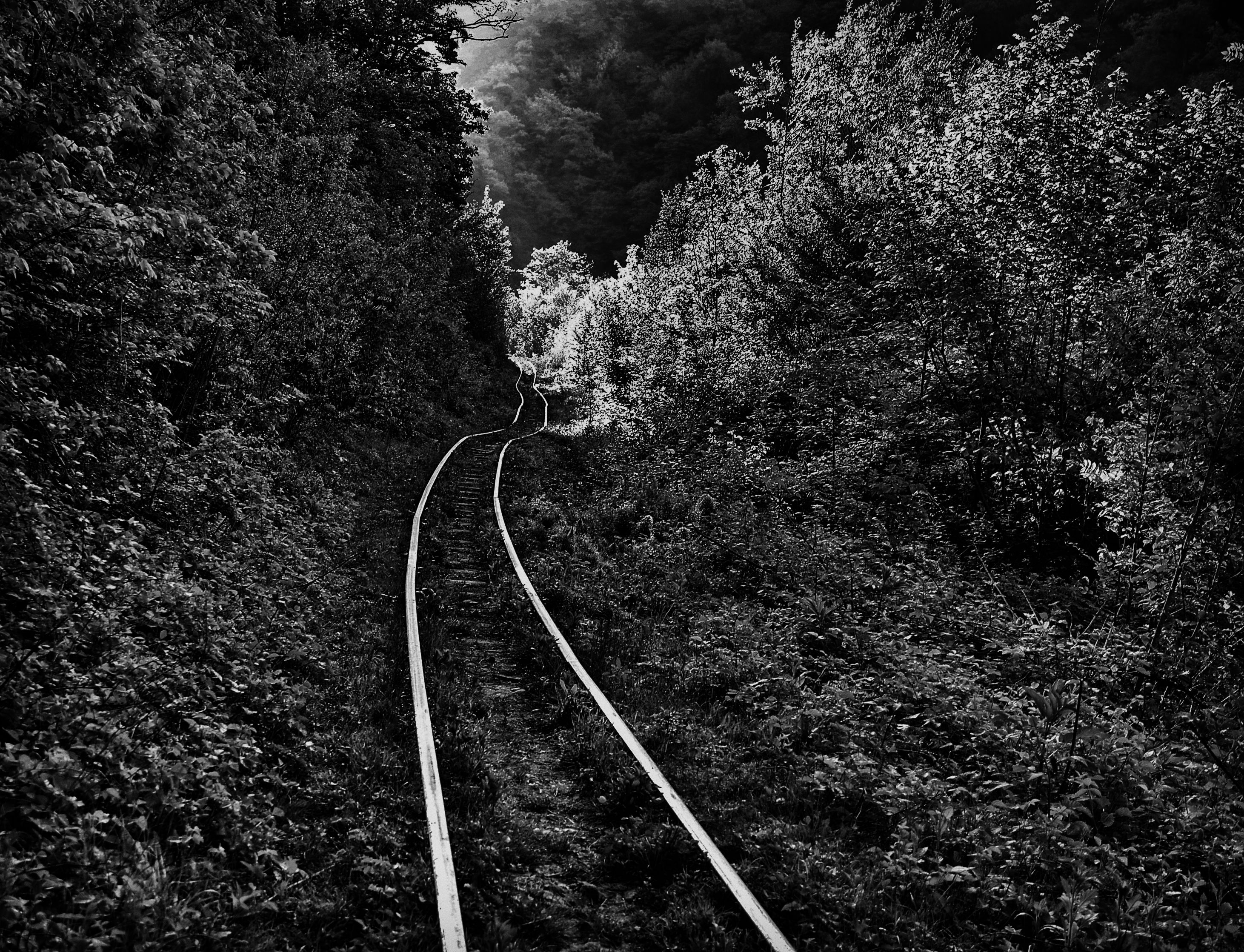 , Vladimir Bragilevsky