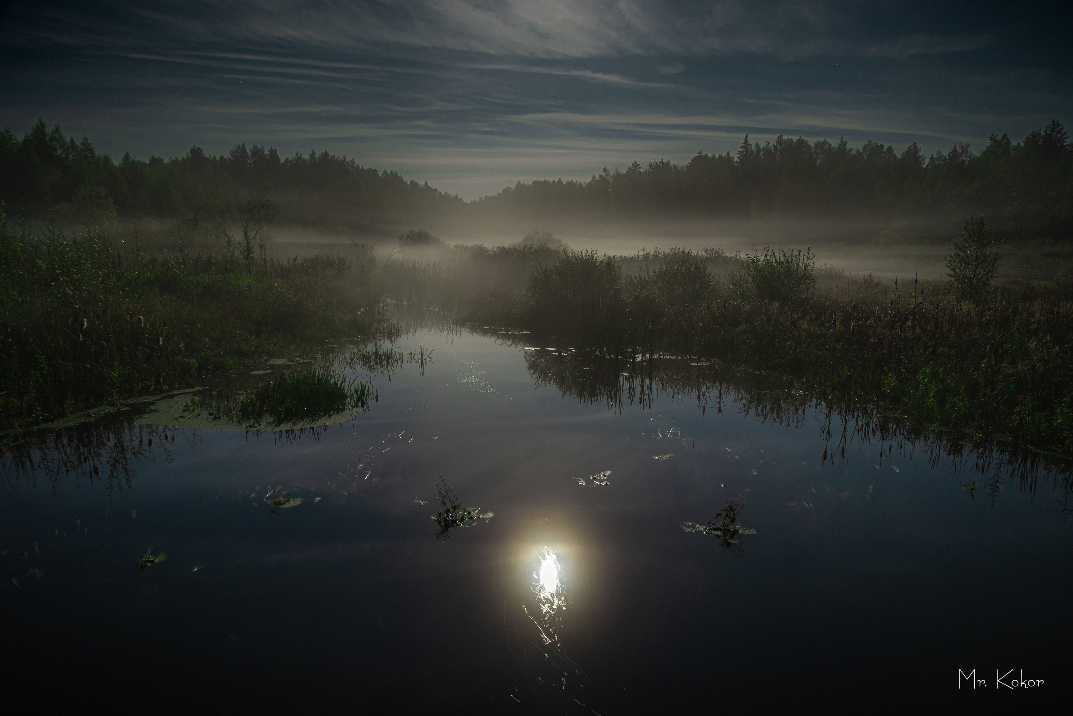 , Кокорин Алексей