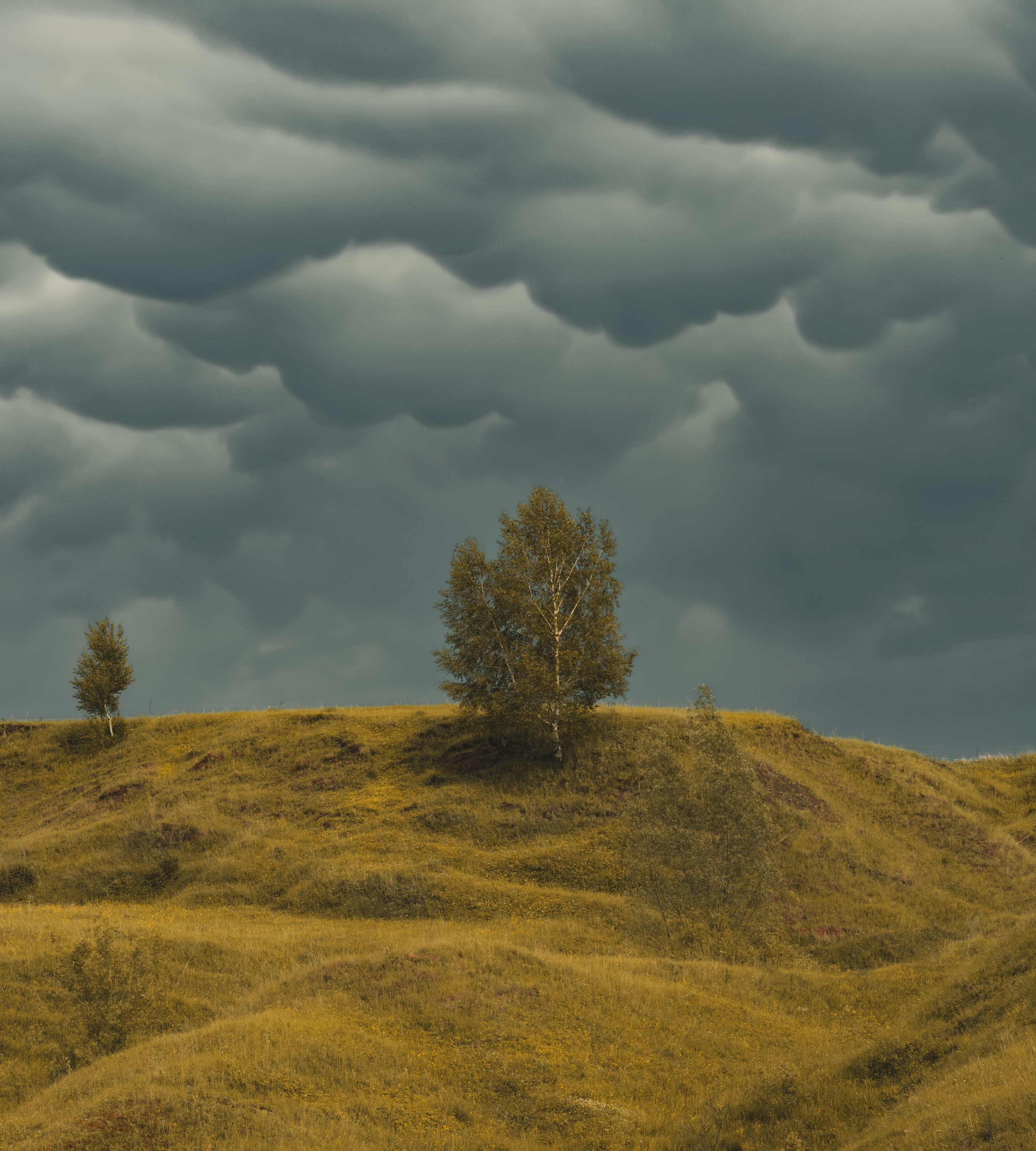 , Григорьев Константин