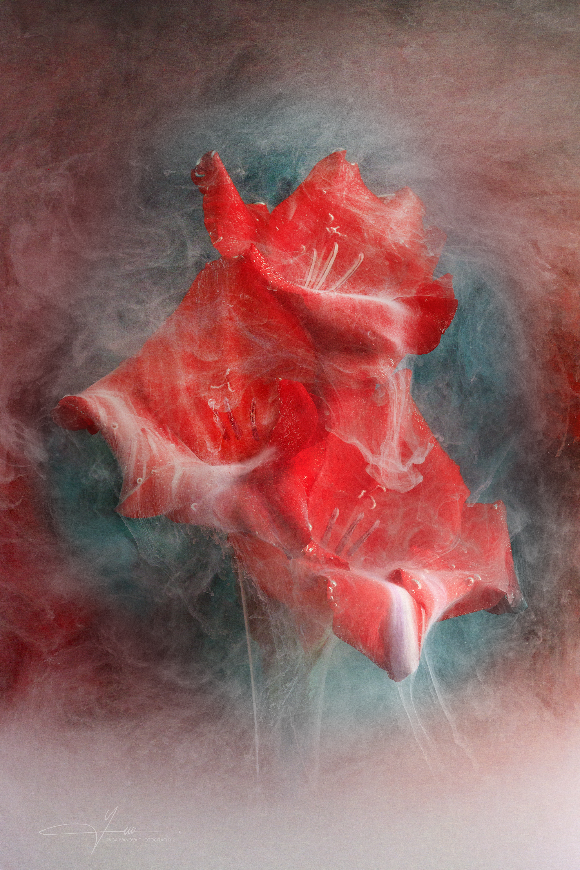 ,  Inga Ivanova  EPCA/B, P IAAP, GPU CR1